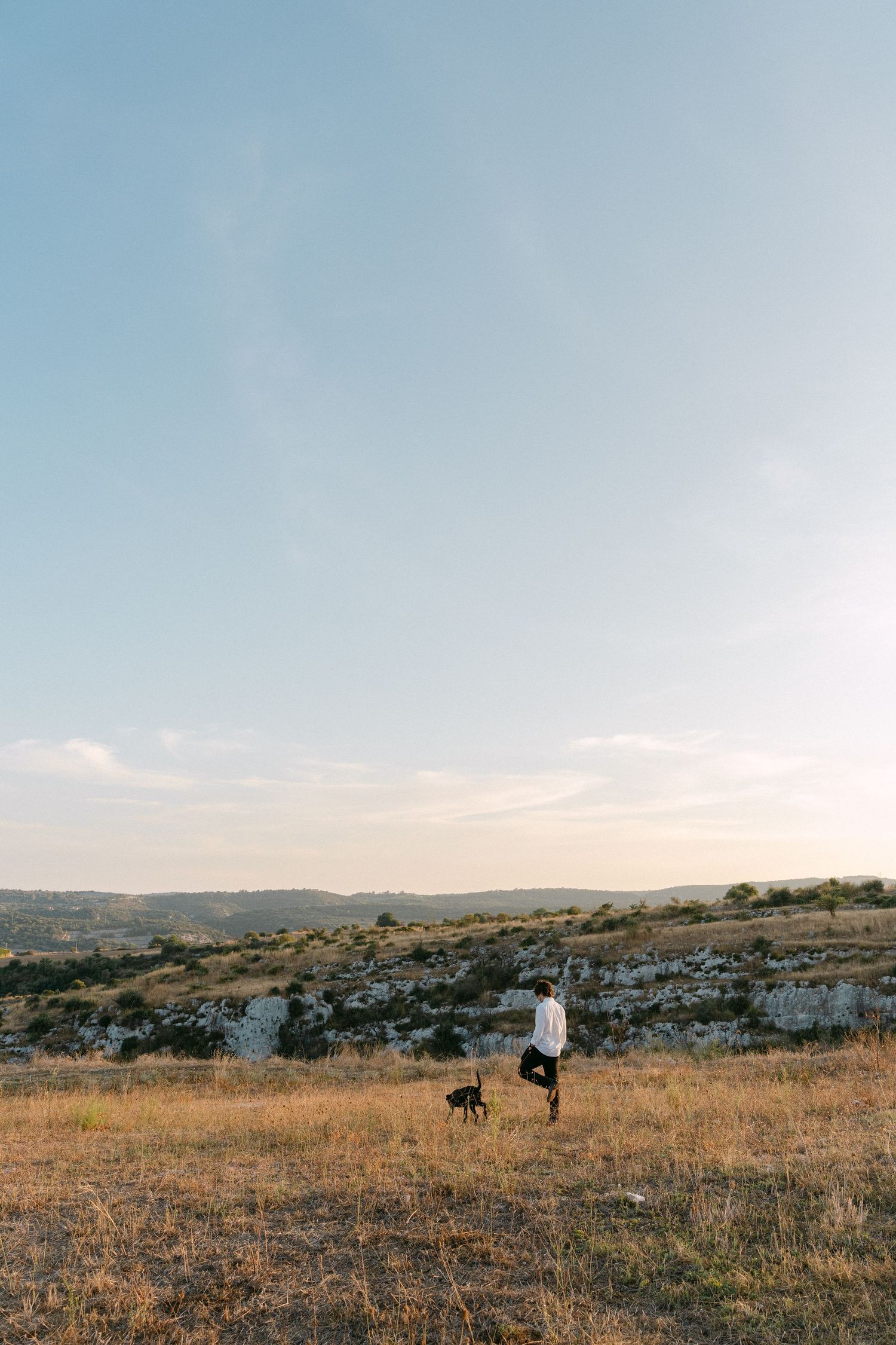 Wide open field with distant figures and a dog against a mountainous backdrop.