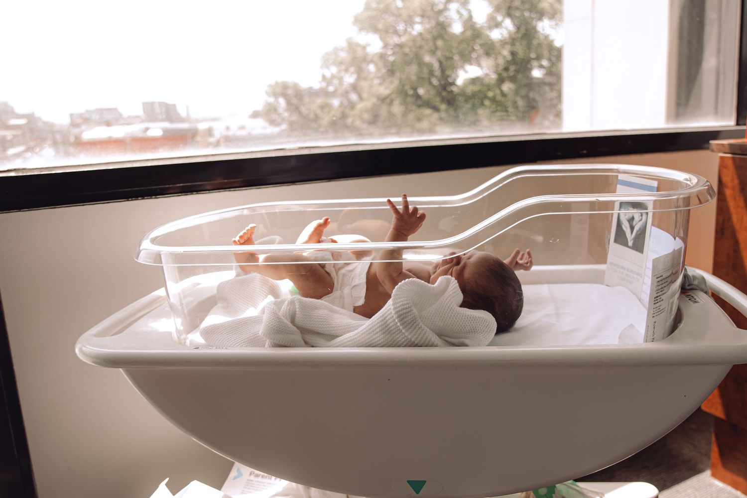 White bathtub scene with natural window lighting.