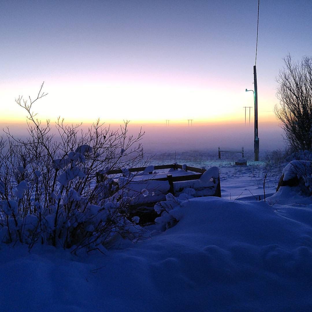 Snowy winter landscape at dusk with silhouetted trees and benches against a purple and orange twilight sky.