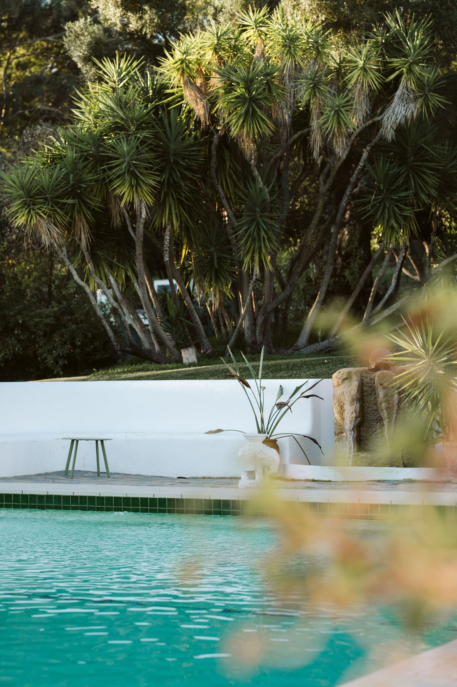 Swimming pool at Finca la Gloria