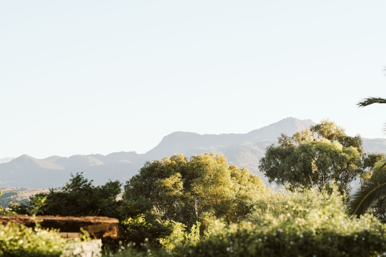 Finca la Gloria View