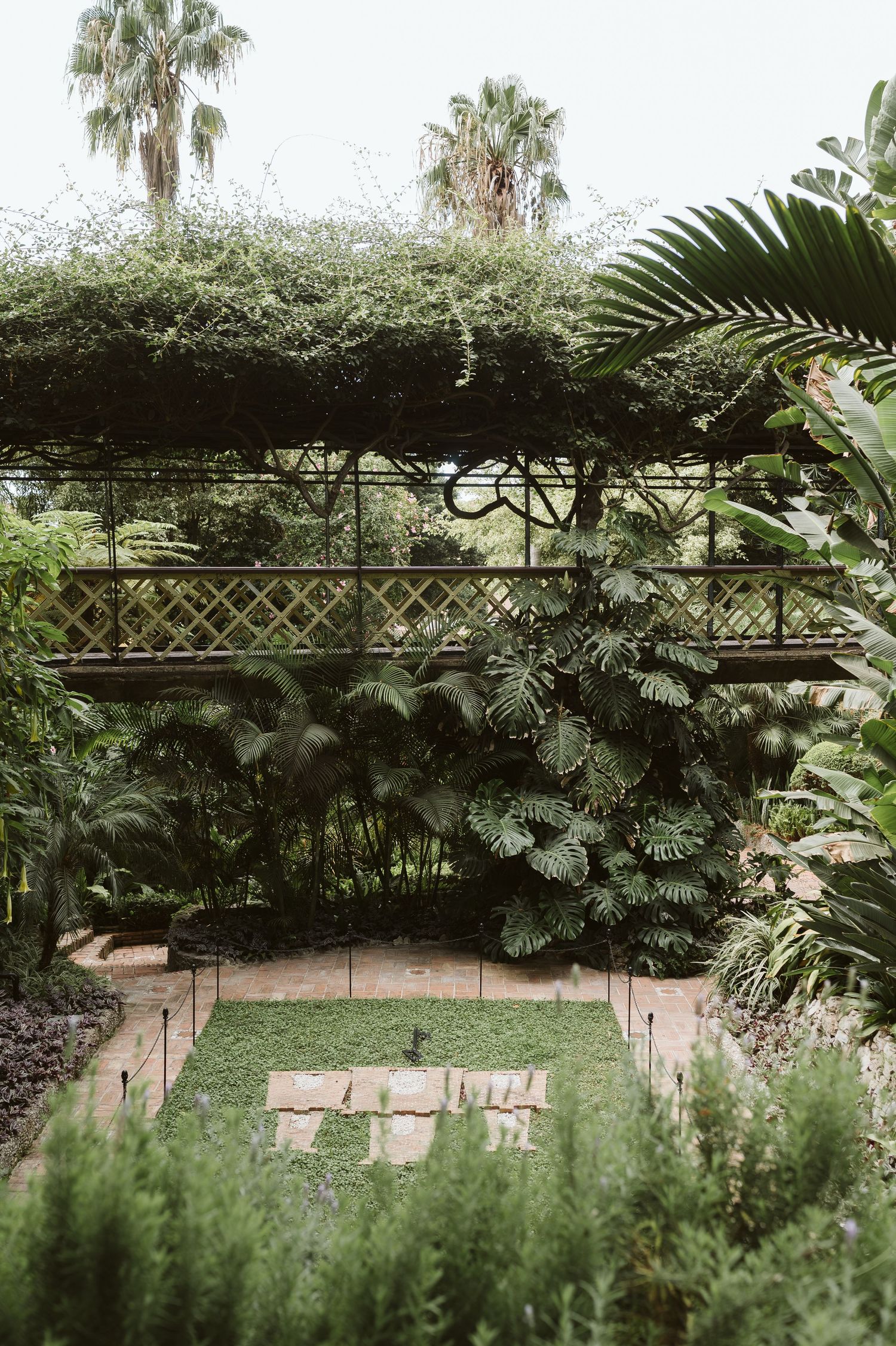 Beautiful greenery at the Dell
