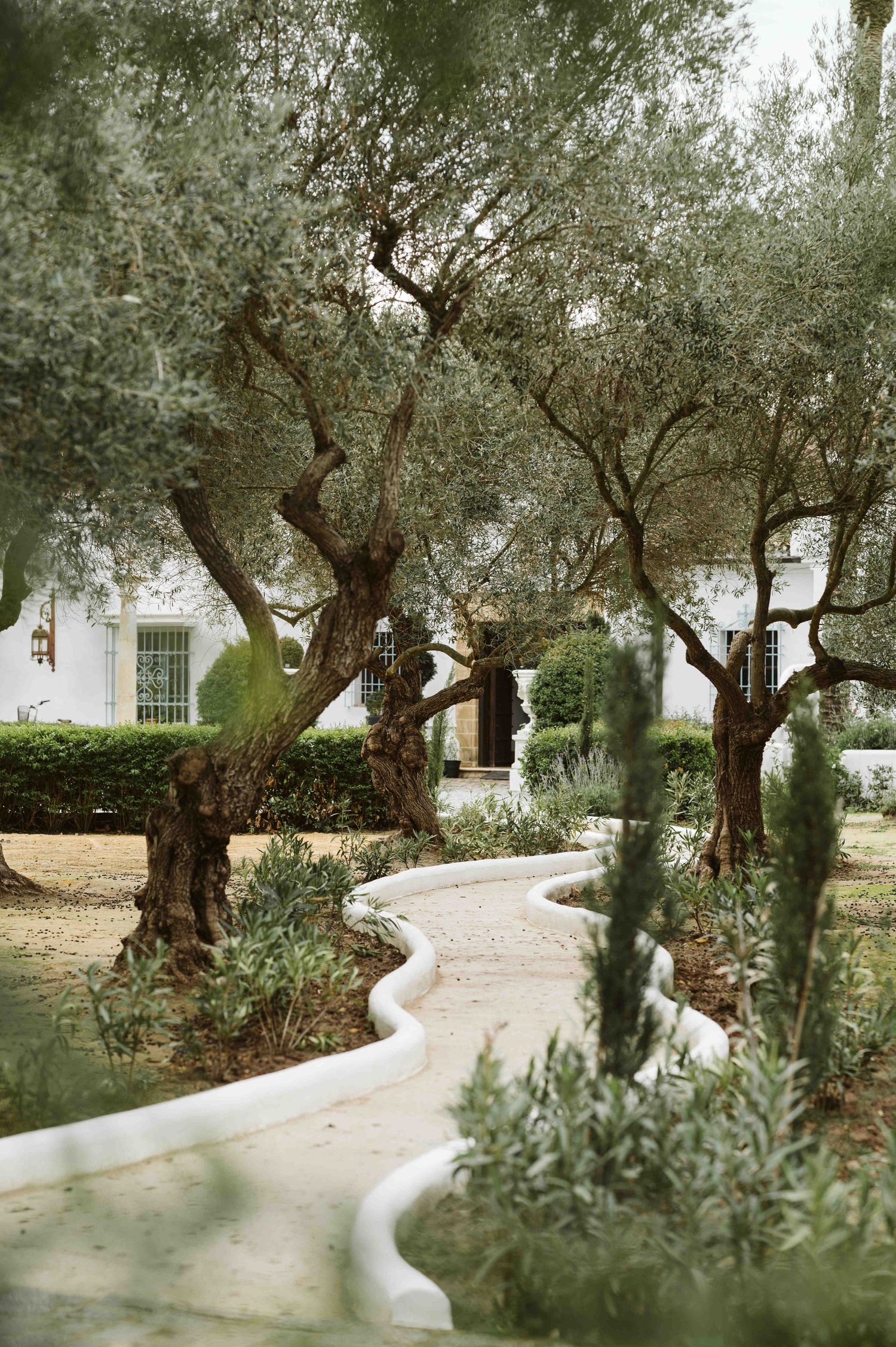 Garden at the entrance of Finca Monasterio