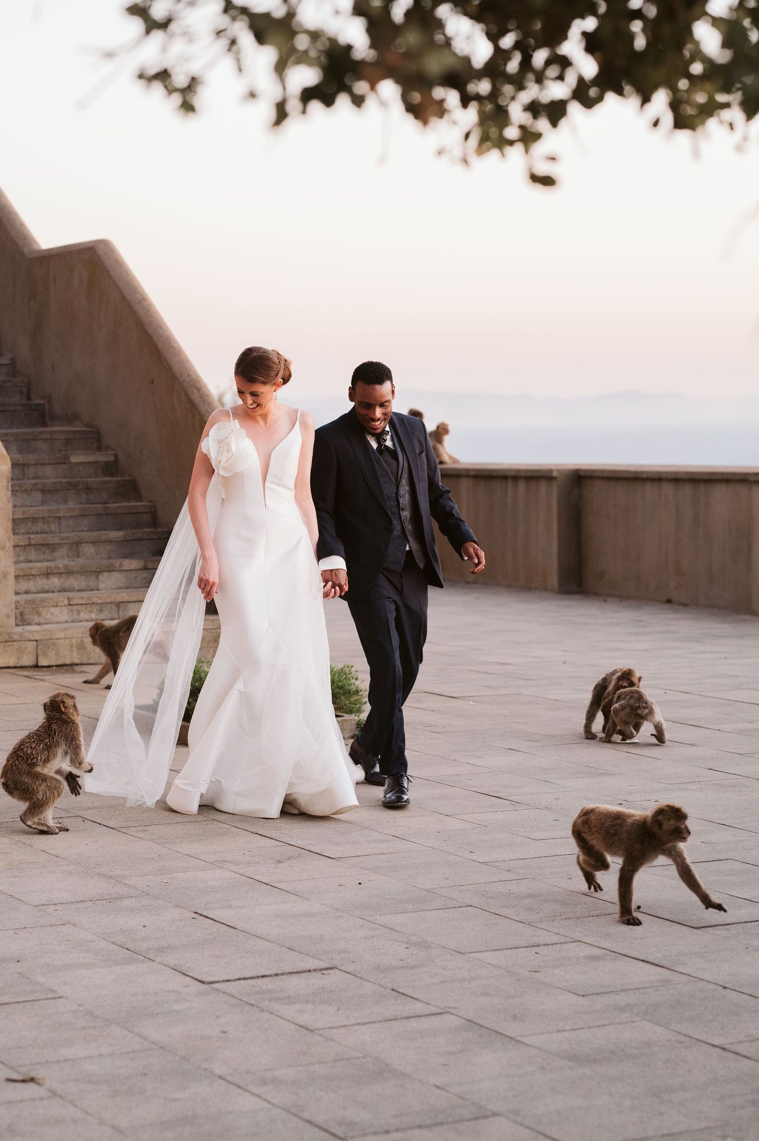 Groom trying to scare the monkeys away from the bride