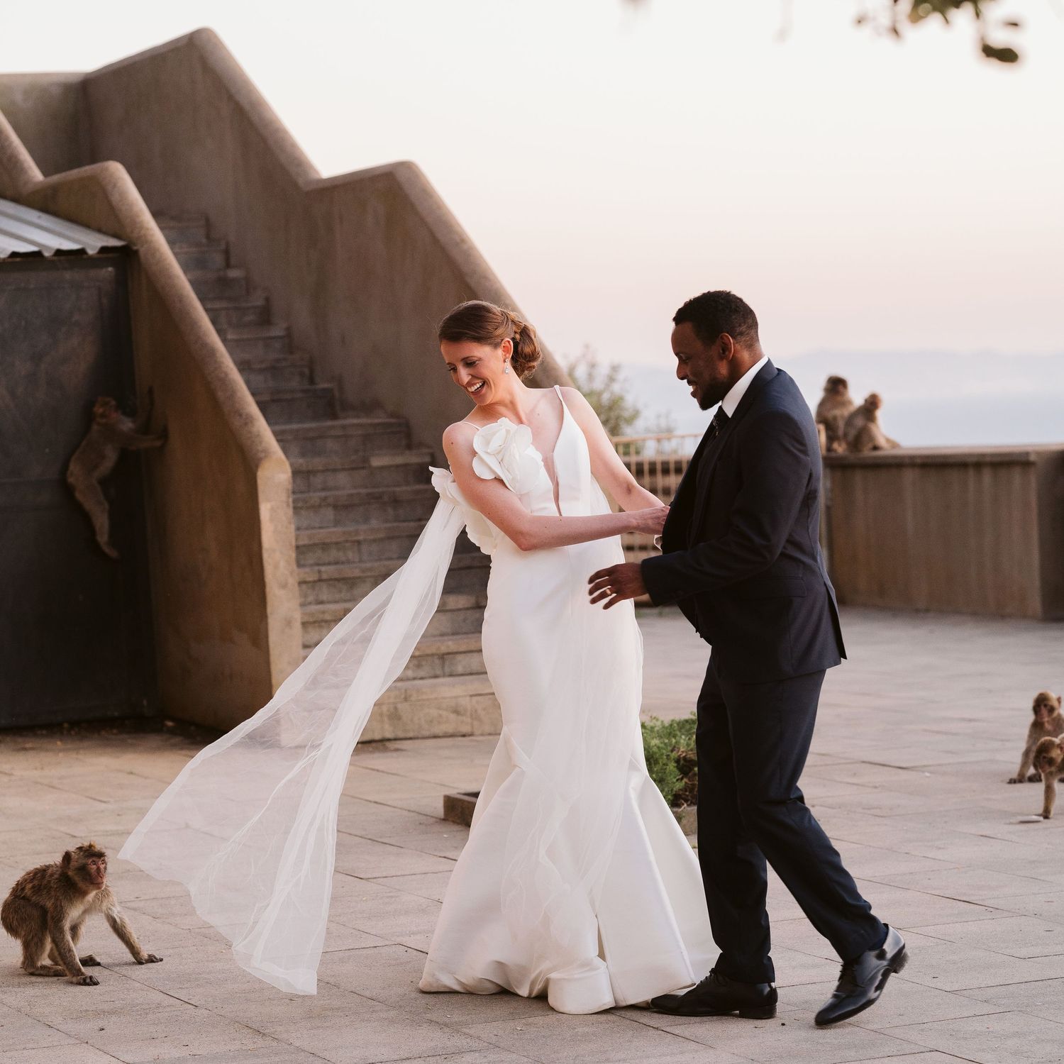 Bride at the Top of the Rock surrounded by the macaques
