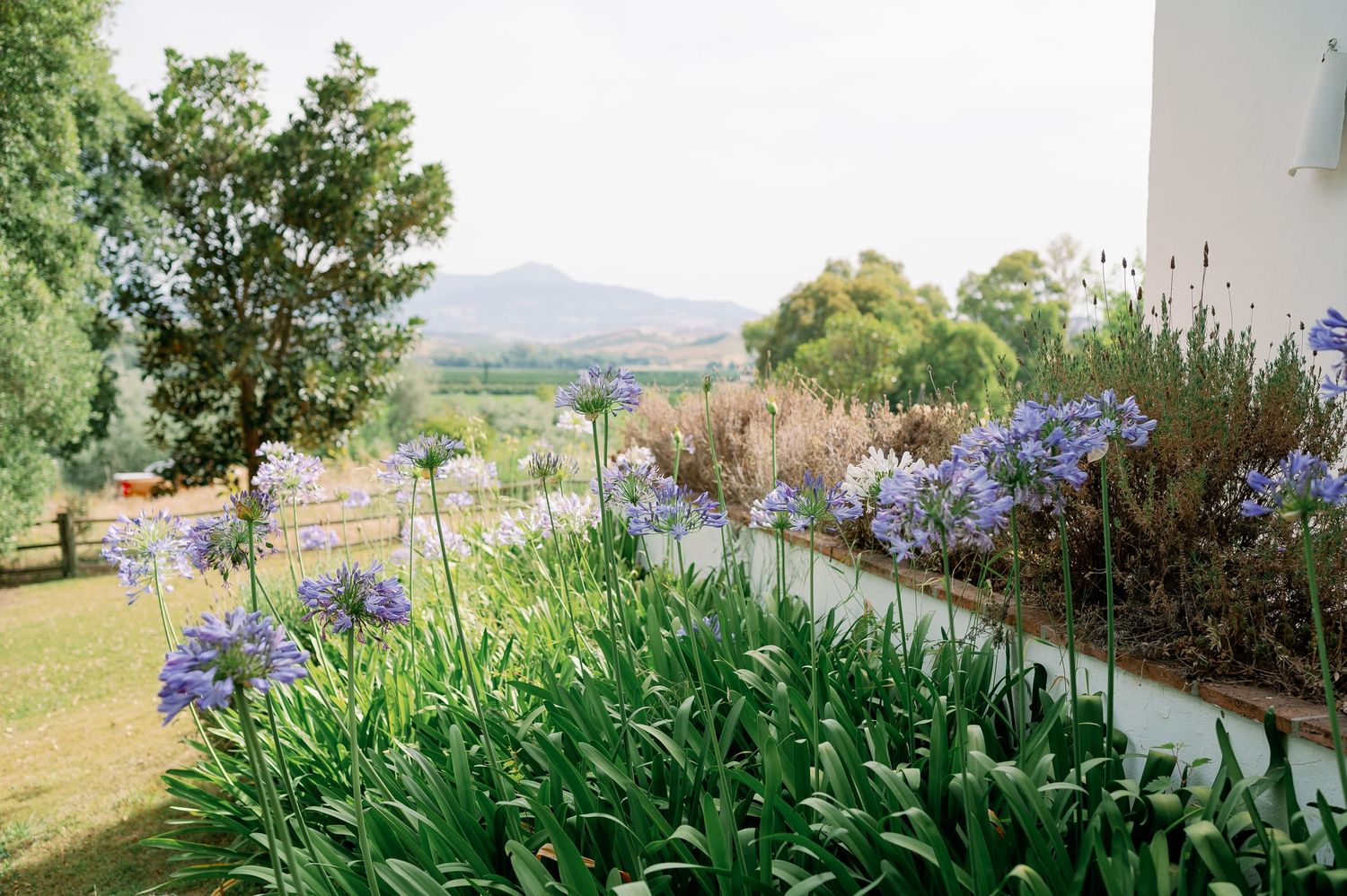 Finca la Gloria landscape