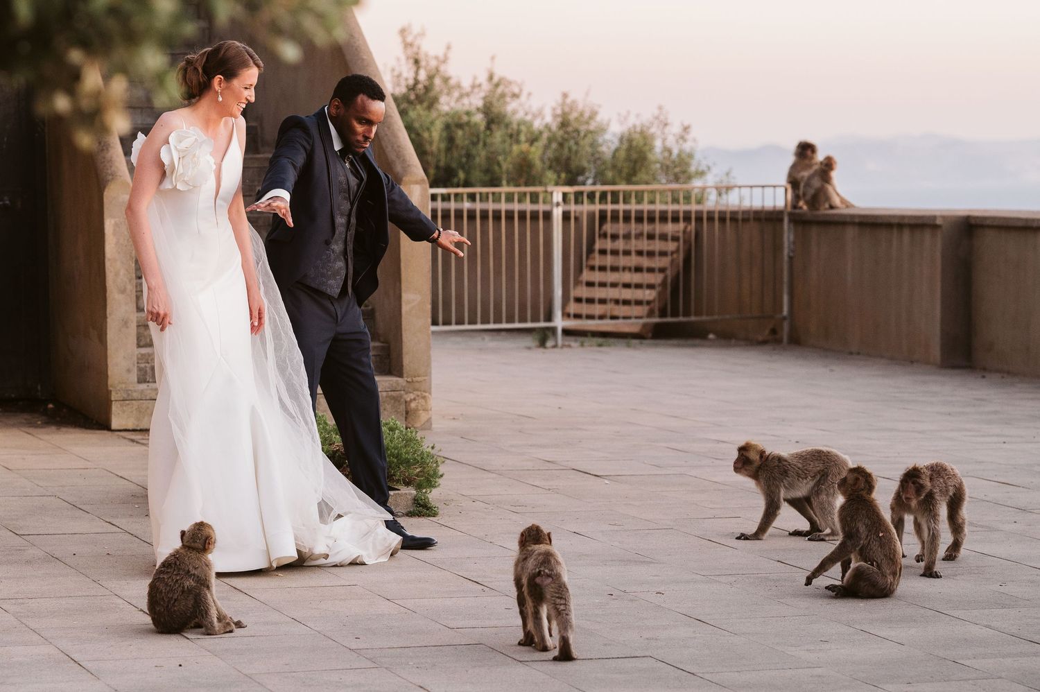 groom and bride surrounded by Gibraltar monkeys