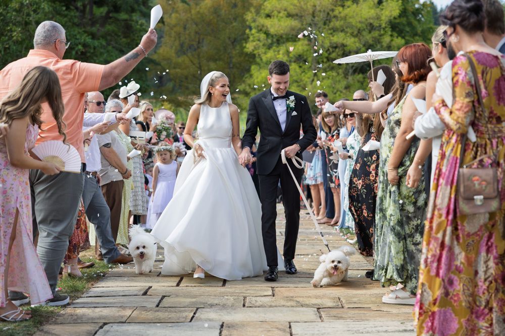 Confetti with dogs again