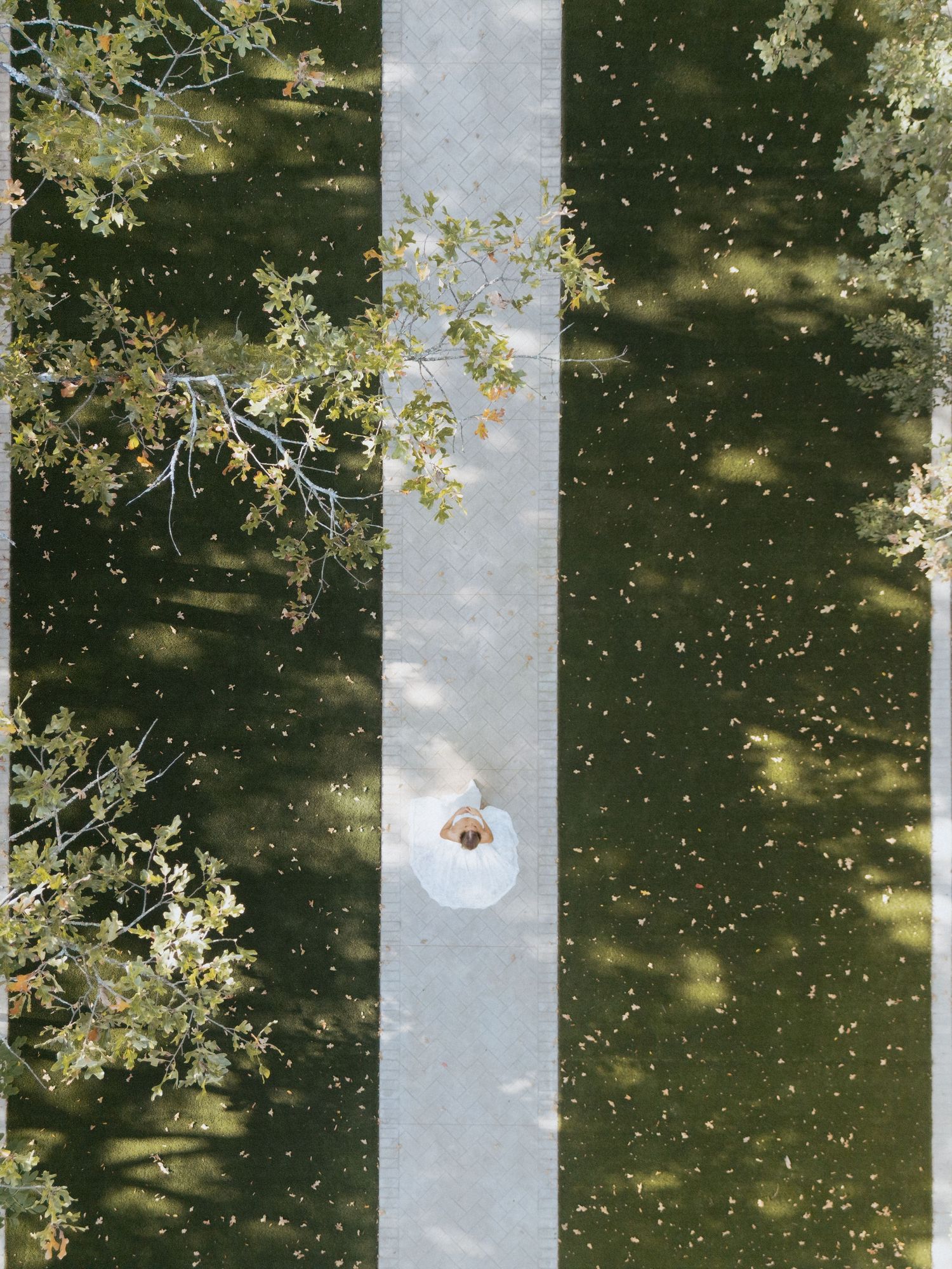 Sunlit garden scene with white pillars and delicate tree branches creating dappled shadows and light patterns.