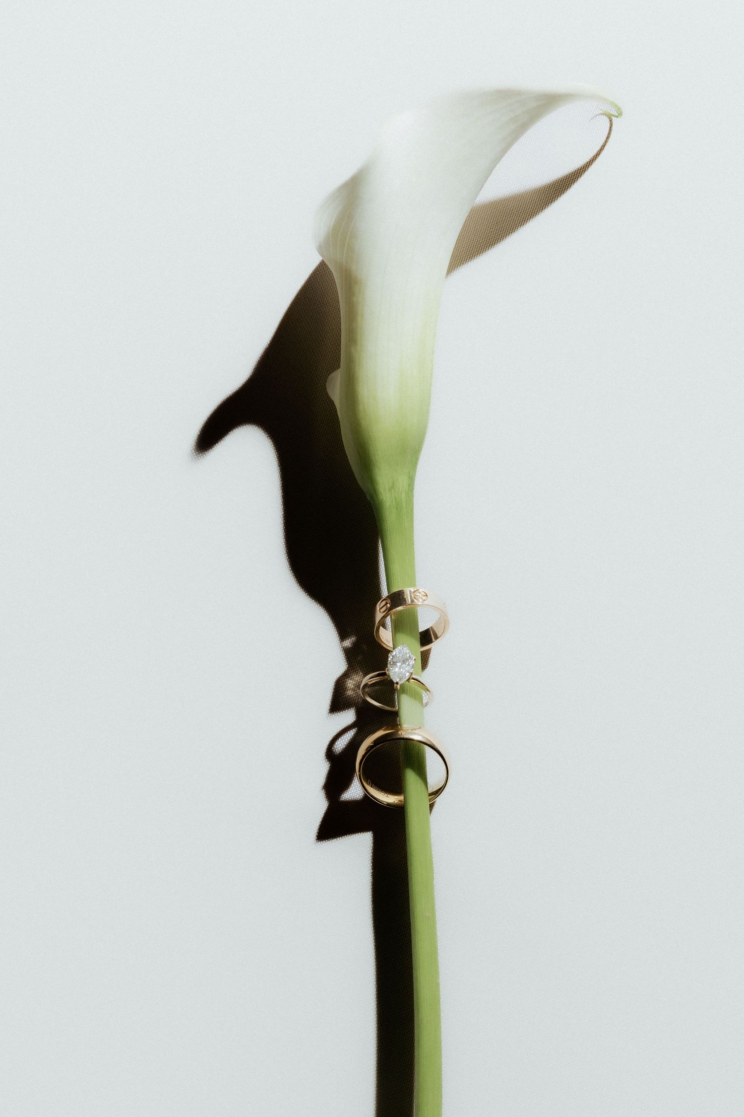 White calla lily stem adorned with gold wedding rings and diamond engagement ring against light background.