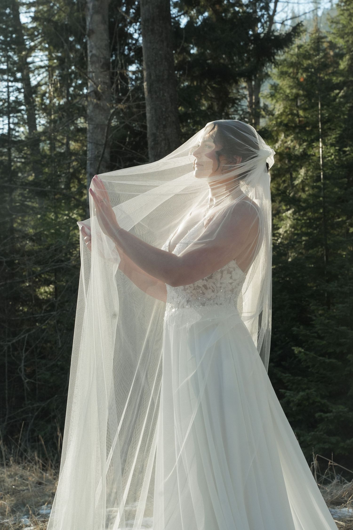 Bride in white lace gown holding flowing veil in sunlit forest setting.