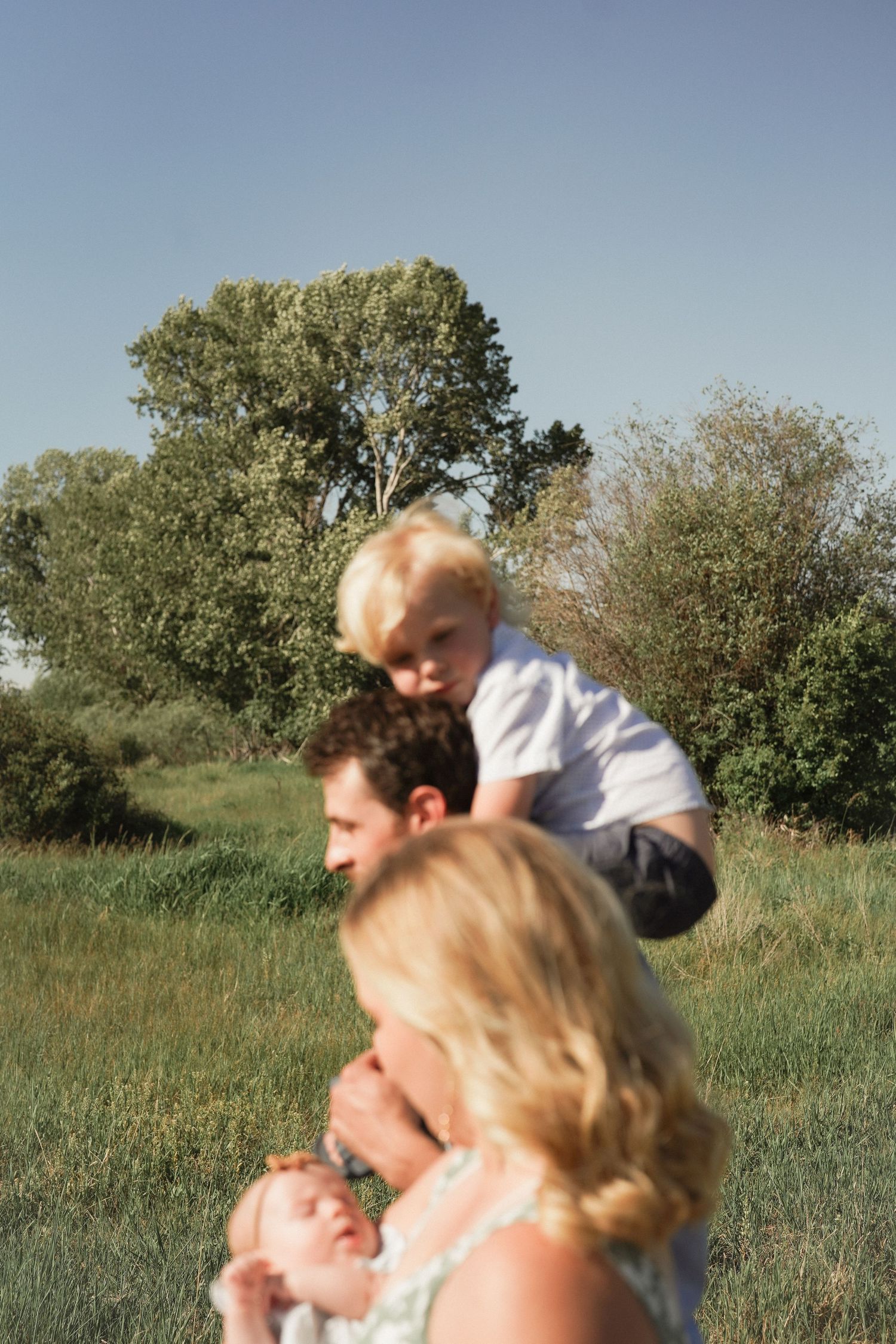 A family plays together on a grassy hillside on a sunny day with trees in the background.