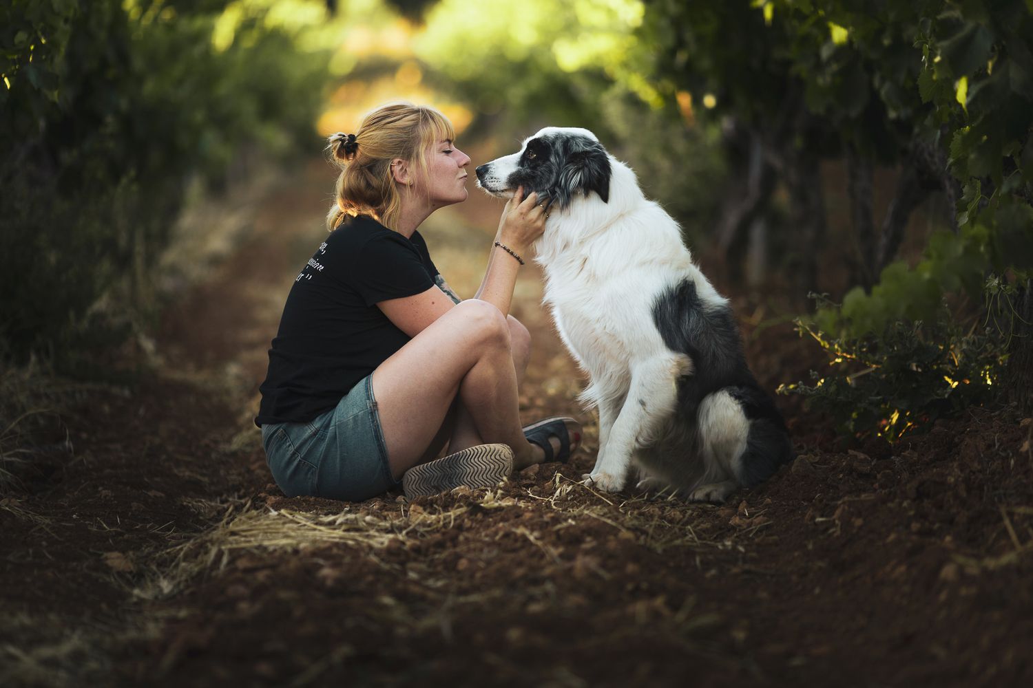 Séance photos animalières avec Allyson Photographies ( chiens chats chevaux ), à Cotignac dans le Var