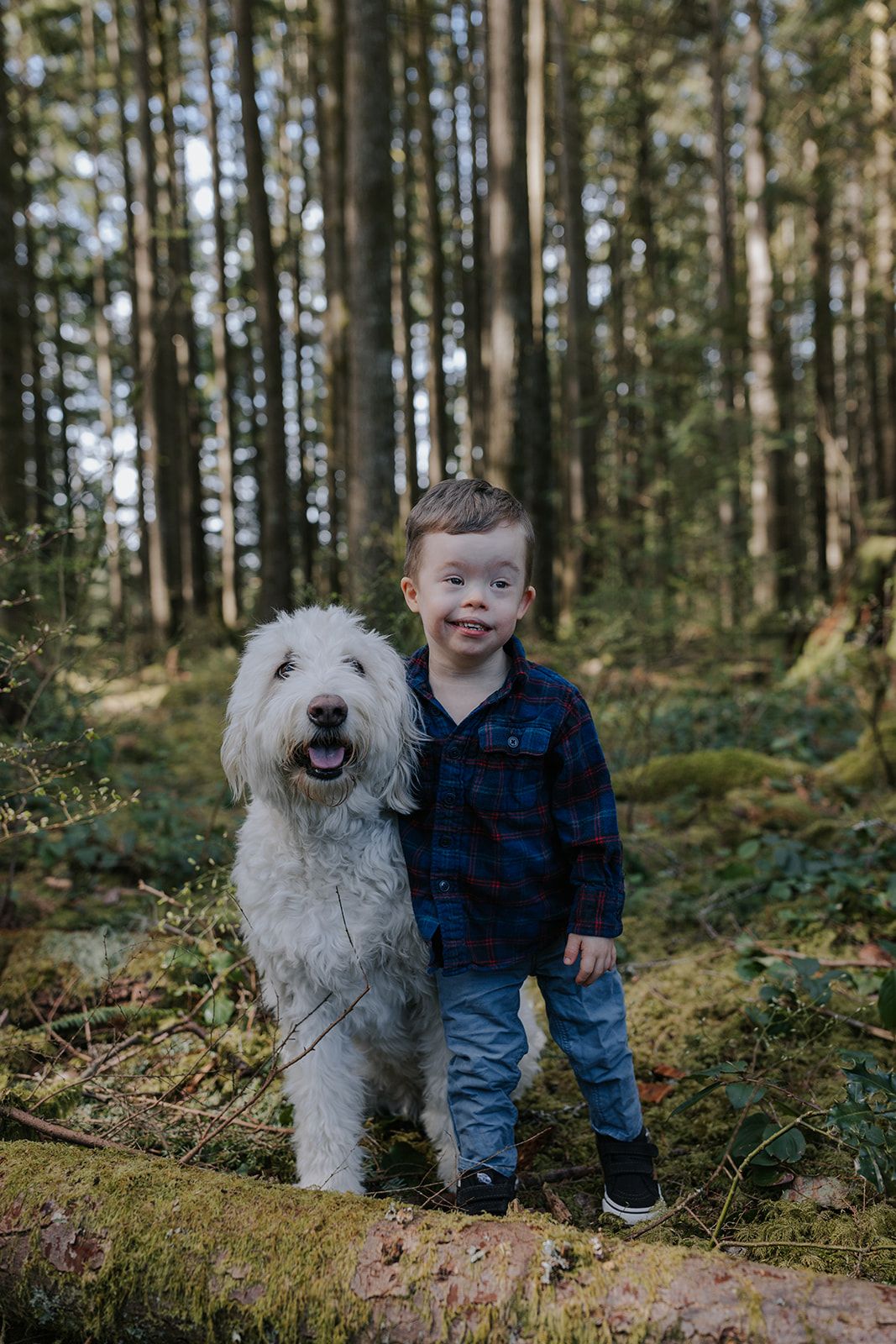 A fluffy white dog and companion explore a mossy forest trail together on a sunny day.