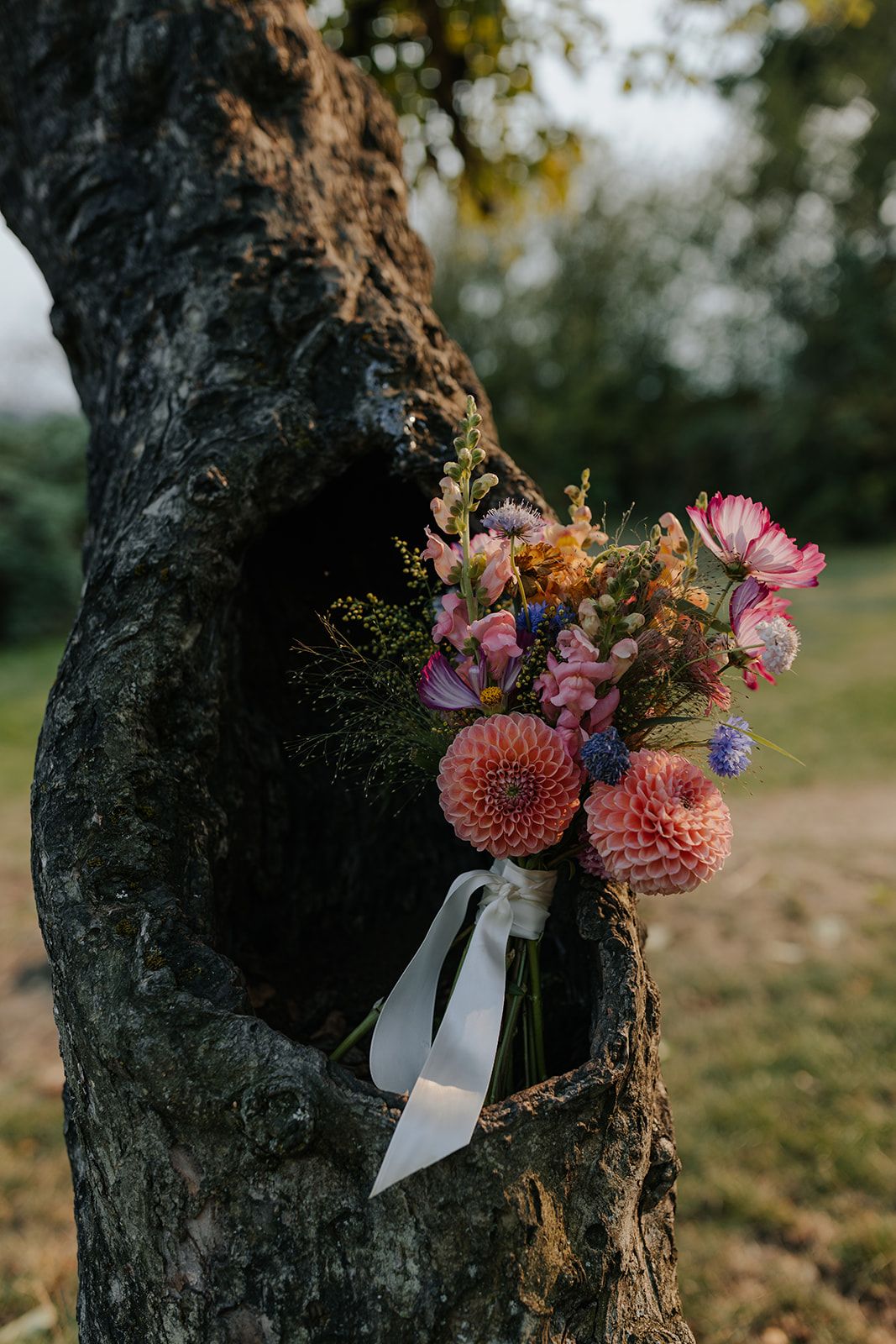 Pink floral arrangement with dahlias tied with white ribbon on a rustic tree trunk.