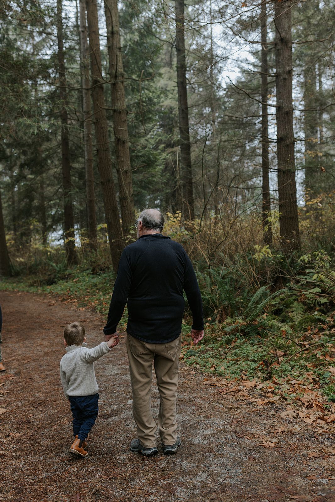 Walking together on a forest trail surrounded by tall pine trees.