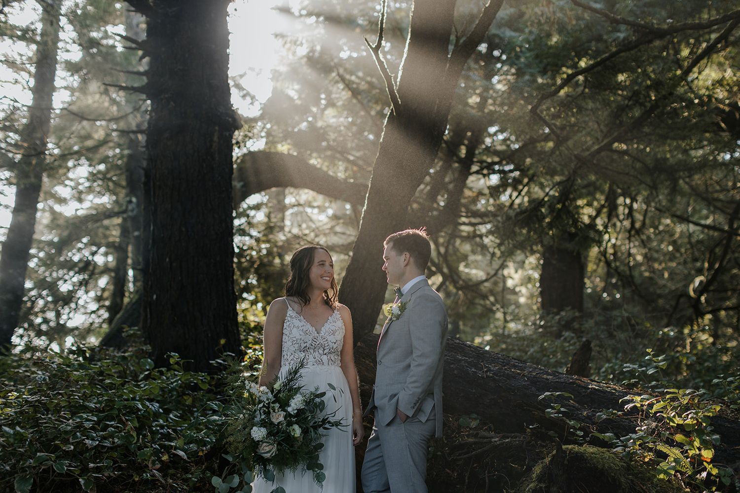 A romantic forest setting with sunlight streaming through tall pine trees.