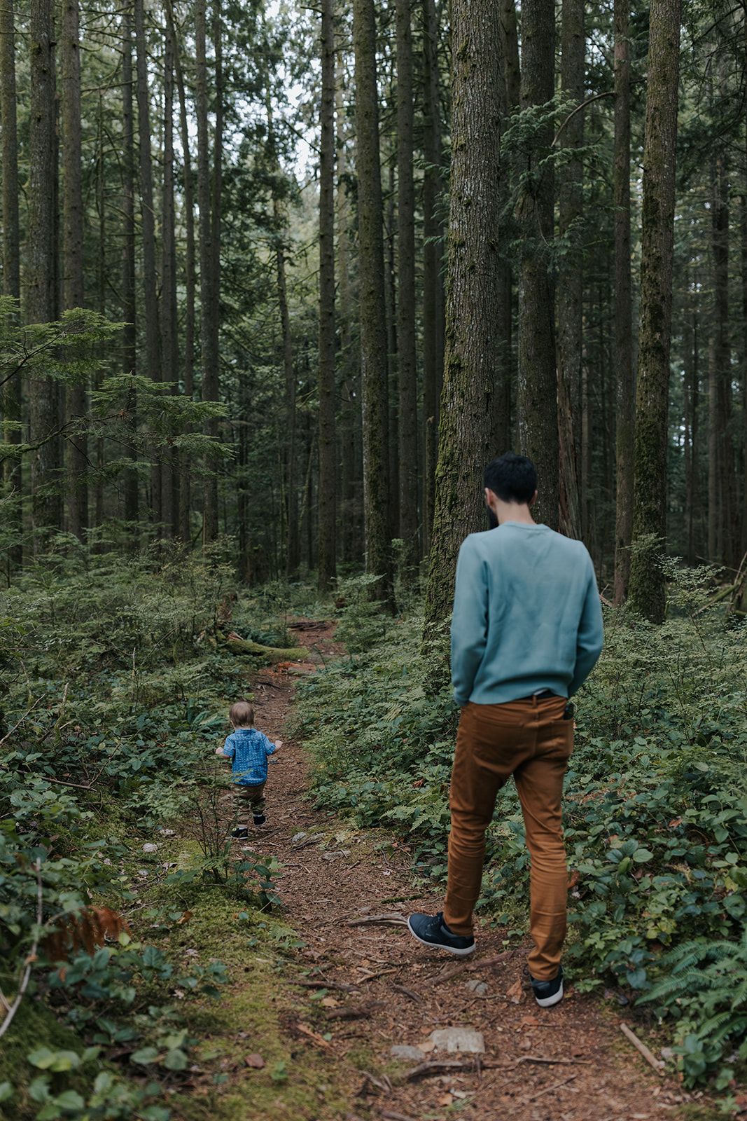 Walking through a dense evergreen forest on a winding dirt path.