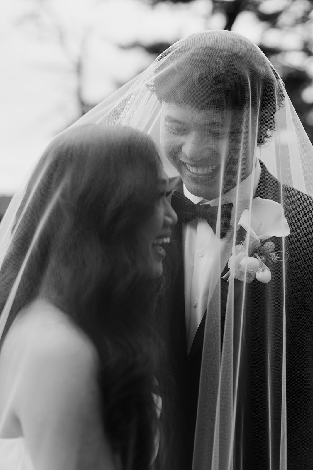 Black and white wedding photos capturing intimate moments between newlyweds under a veil.