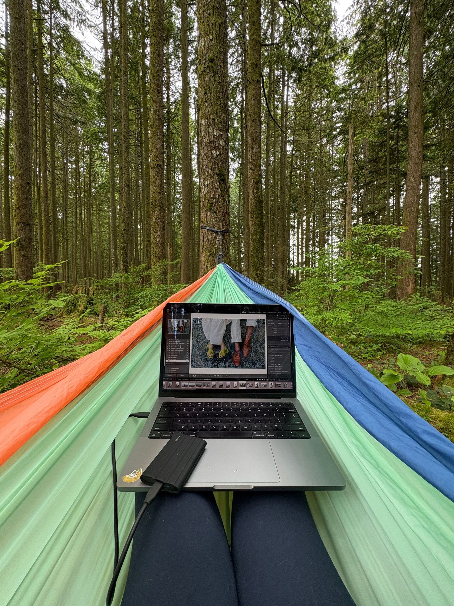Colorful hammocks set up in a forest with a laptop displaying video content.