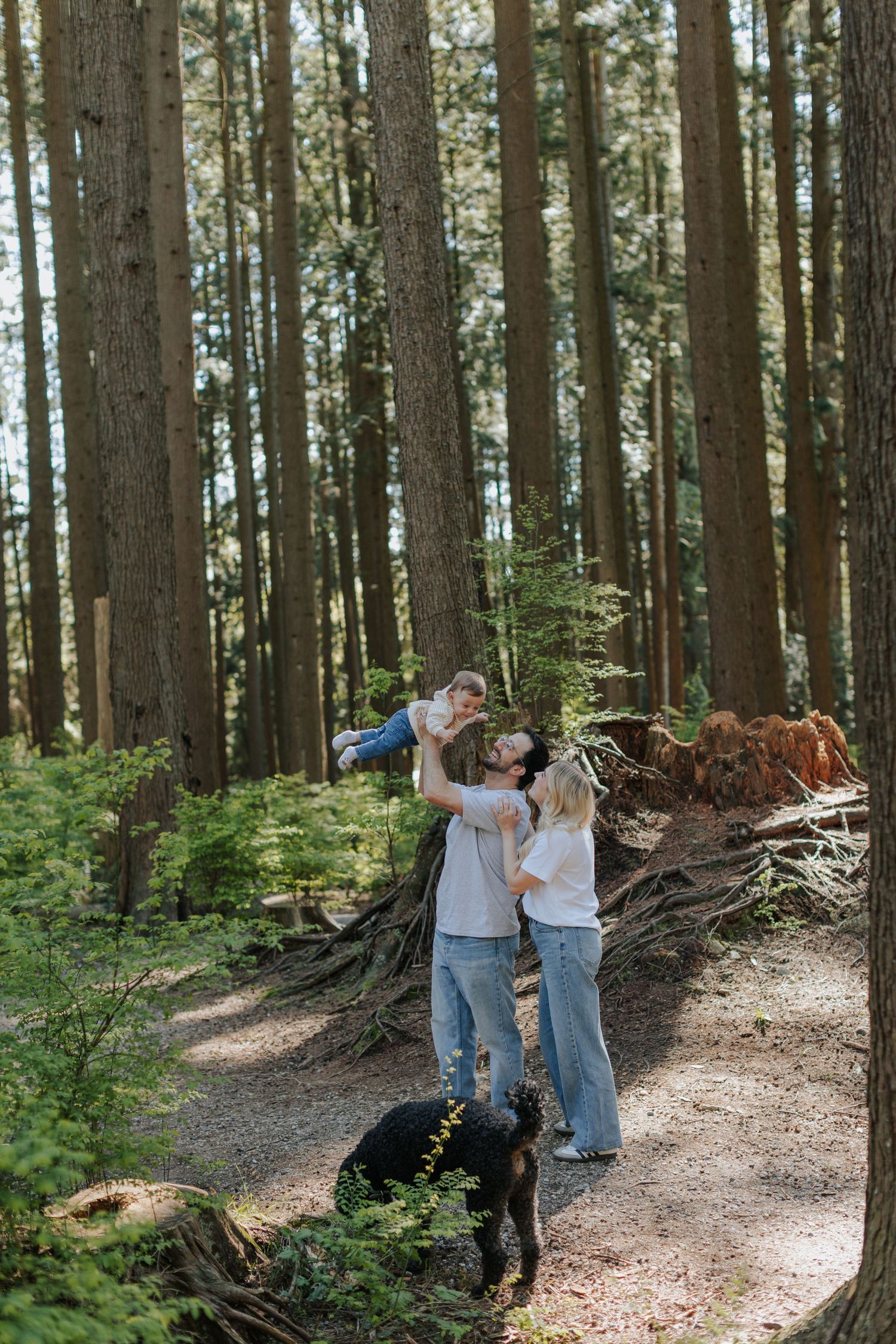 Family playing with baby in a sunlit forest trail, with tall trees and a black dog nearby.