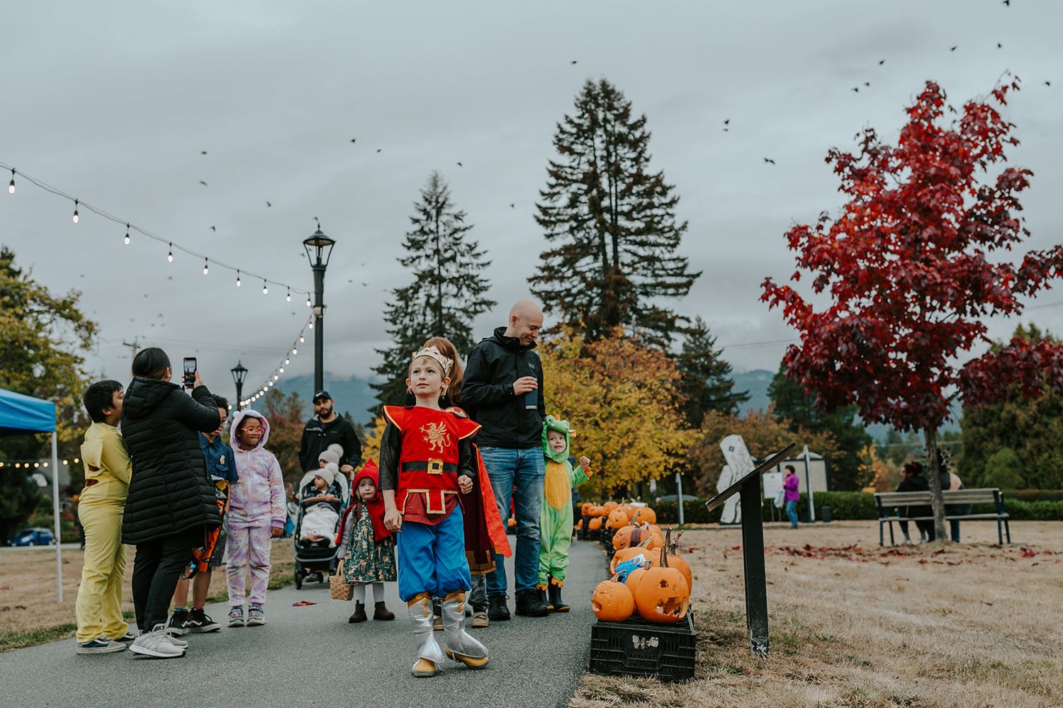 Outdoor festival with string lights and autumn trees in an urban park setting.