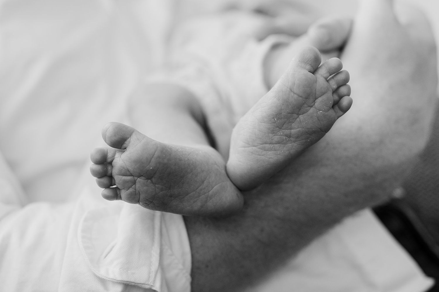 Close-up black and white photo of tiny newborn baby feet resting on white fabric.
