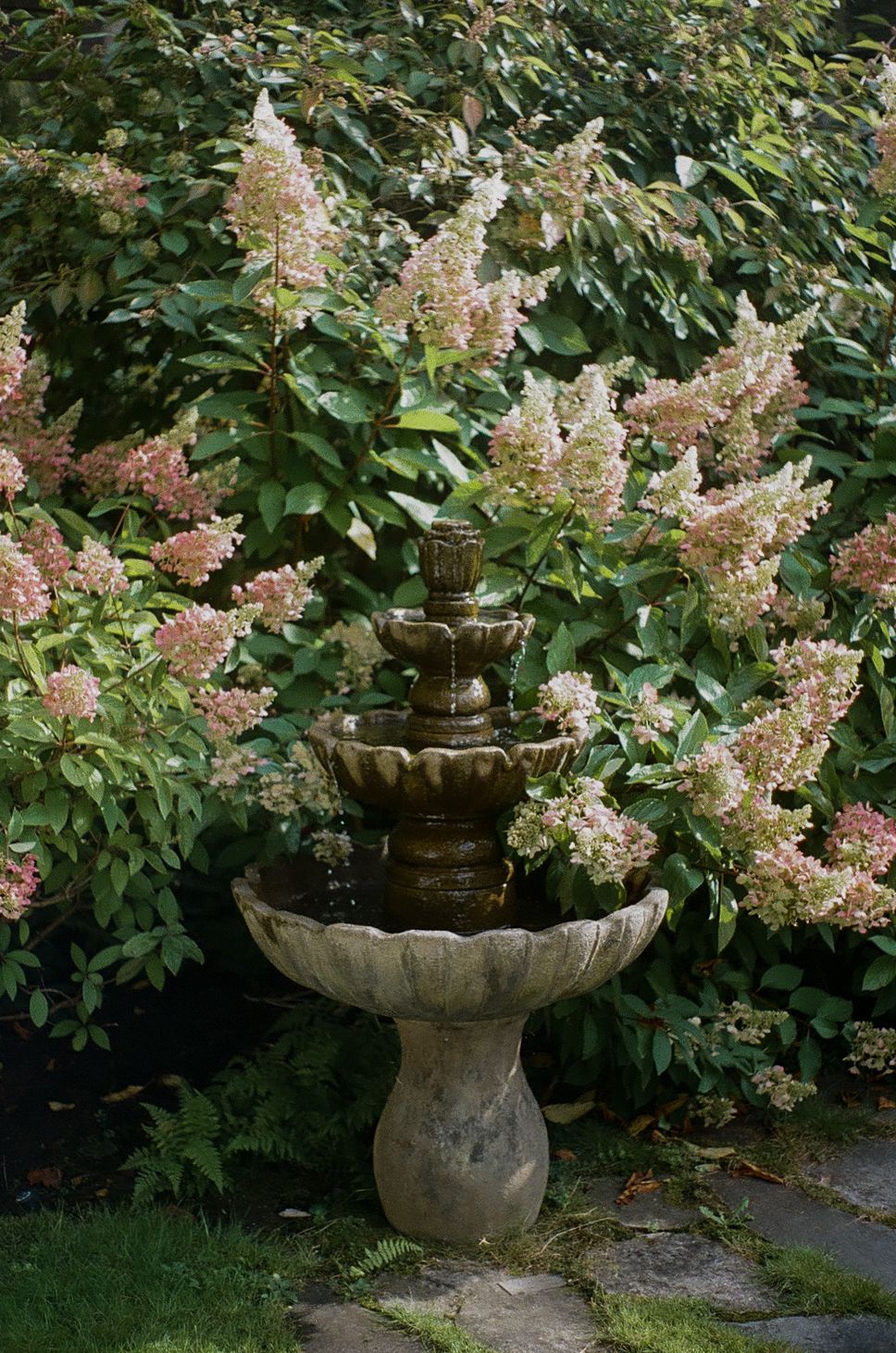 Stone tiered fountain surrounded by blooming hydrangea bushes in a garden setting.