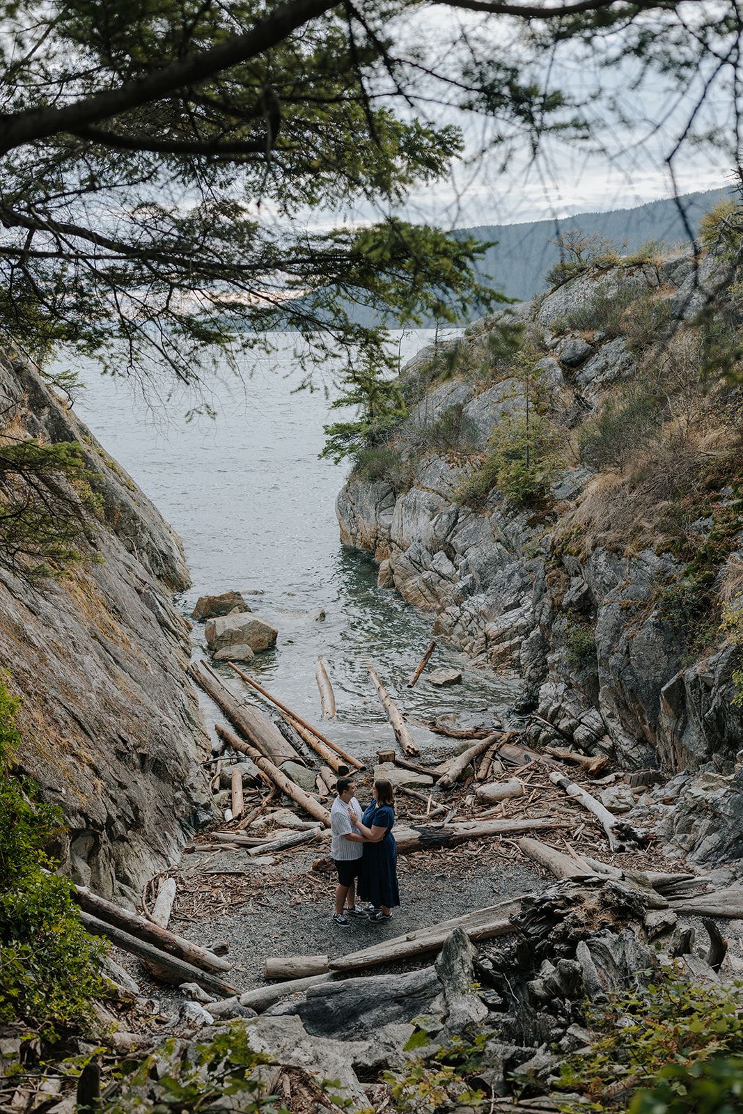 A dramatic rocky coastline with driftwood and mountain views in the background.