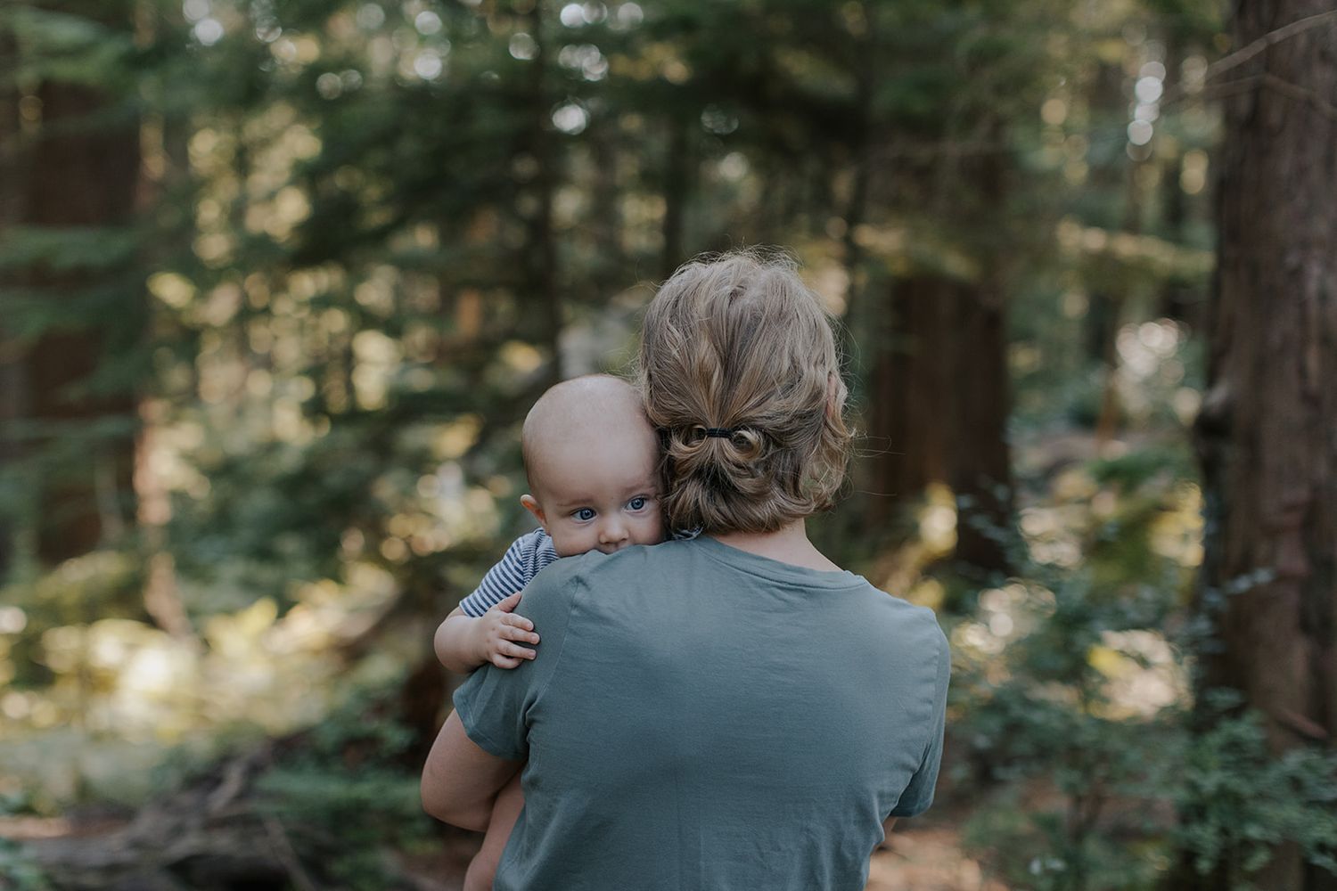 Peaceful moment in the forest as parent holds child among tall trees.
