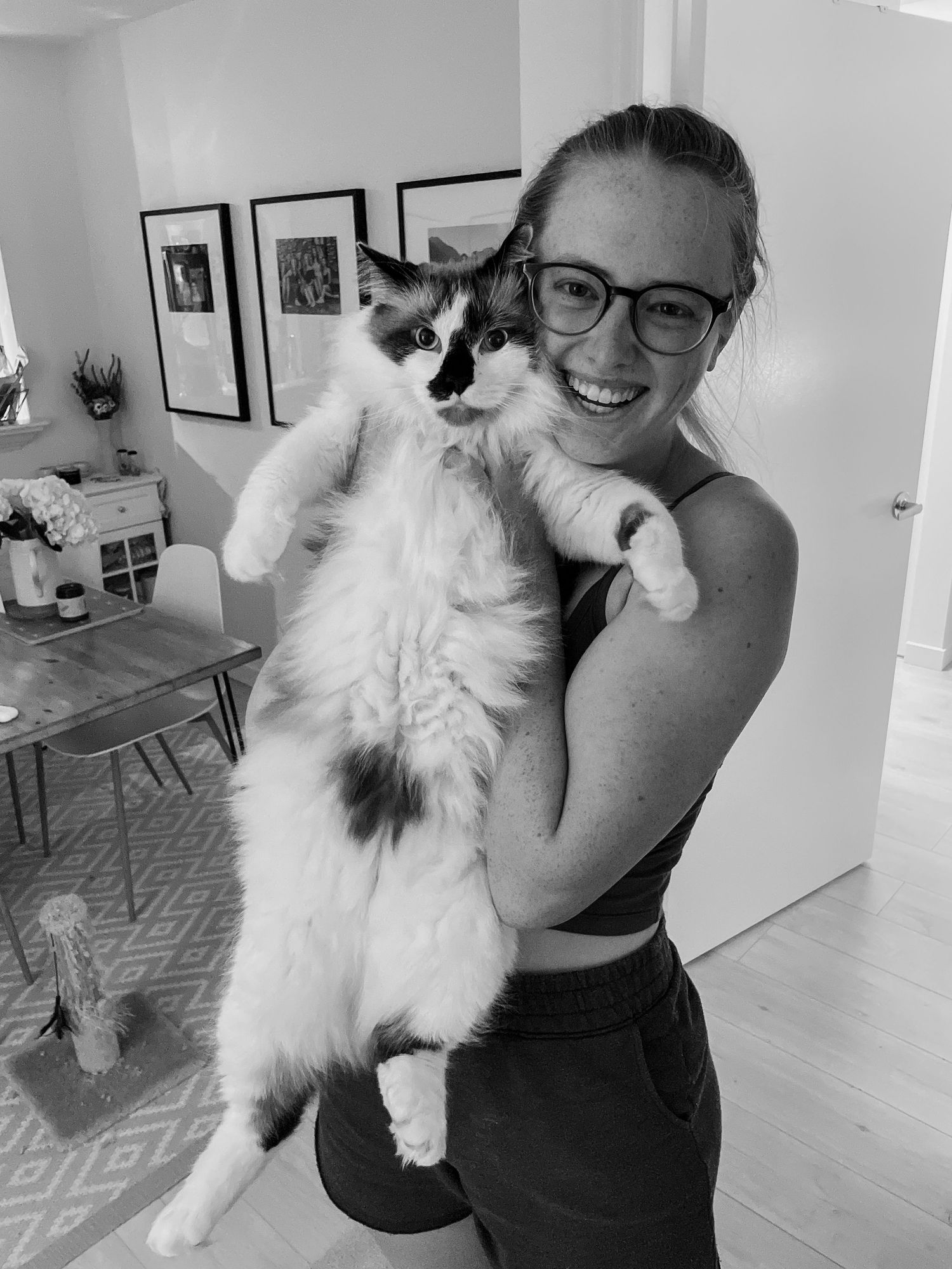 Person holding and playing with fluffy white cat in bright modern interior.