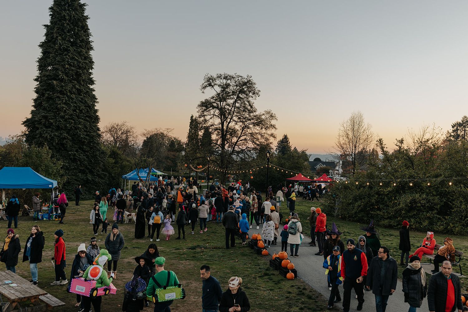 Large crowd gathered outdoors at sunset for a community event on a grassy hillside.