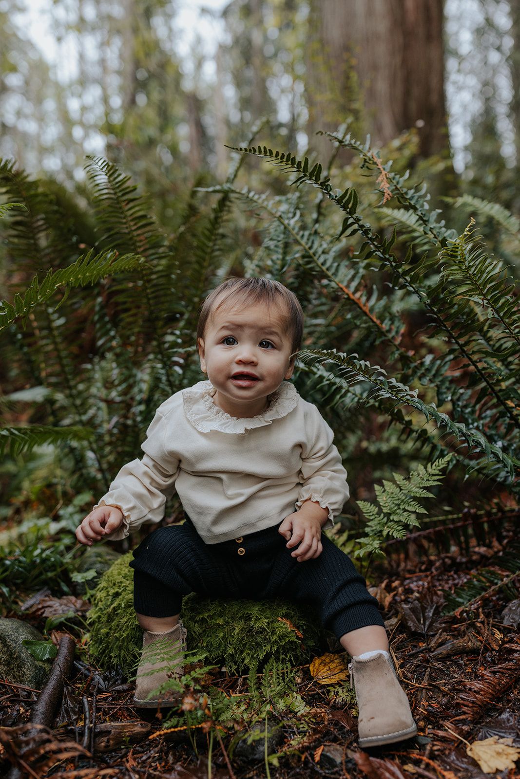 Baby in cream colored outfit sitting among ferns in a moody forest setting.