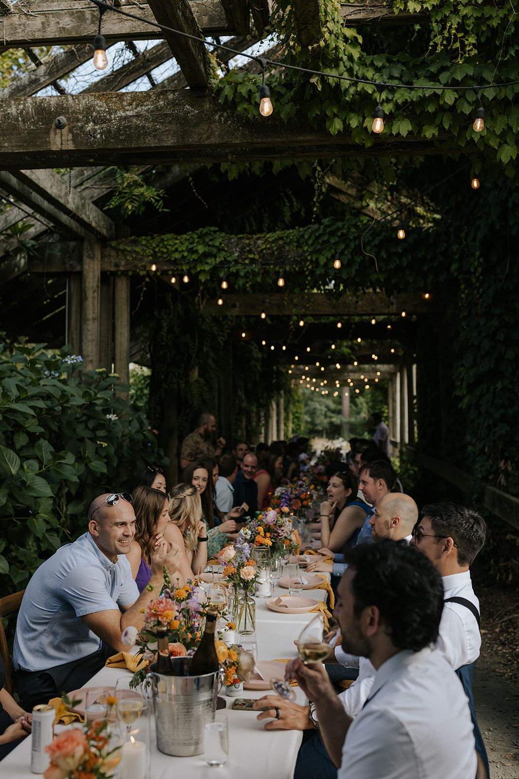 Wedding guests enjoy dinner at a long table under string lights and ivy-covered pergola.