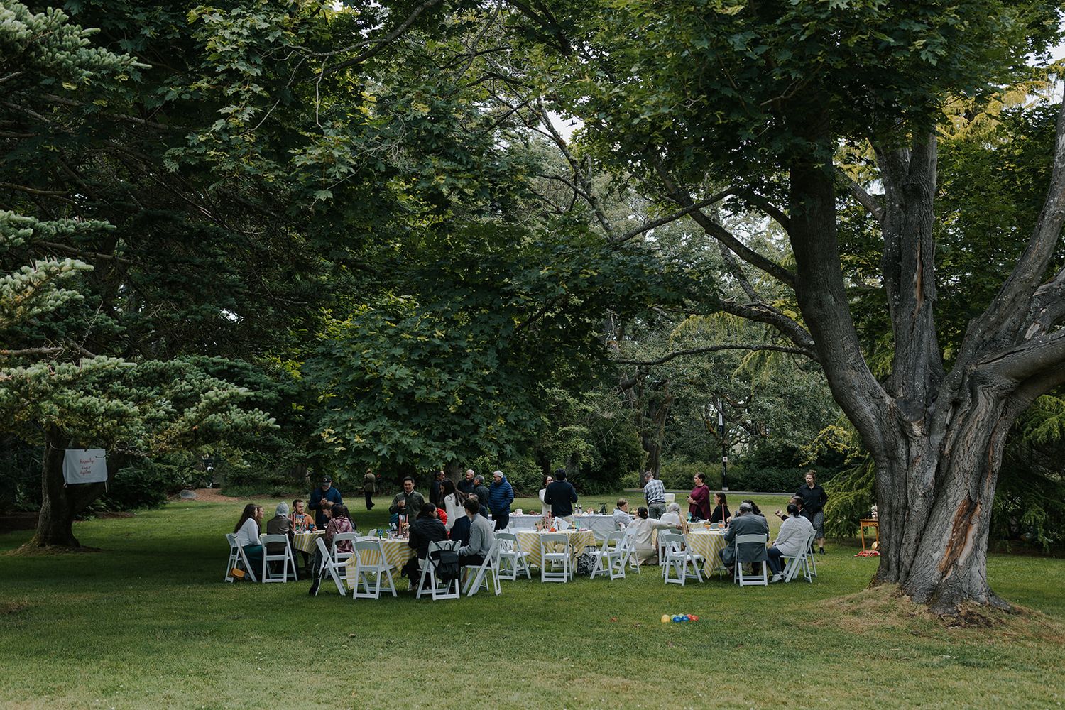 Outdoor wedding reception setup with white chairs and tables under tall trees.