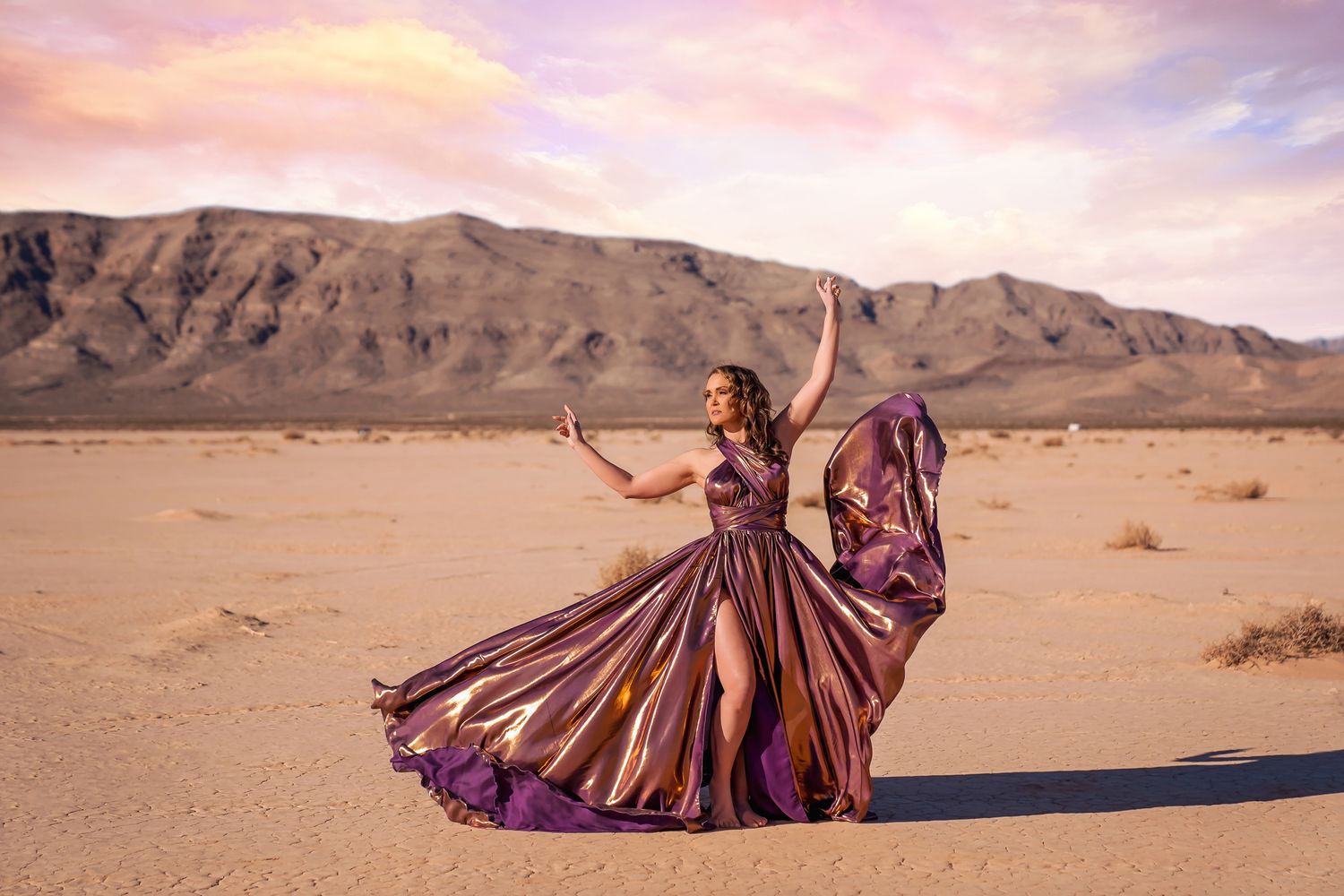 Desert fashion photography featuring metallic purple gown against mountain landscape.