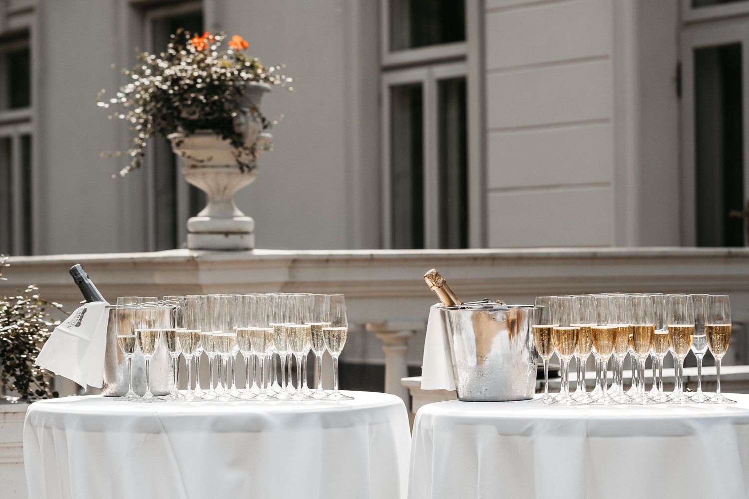 Row of champagne glasses lined up on an elegant gray table setting for wedding reception.