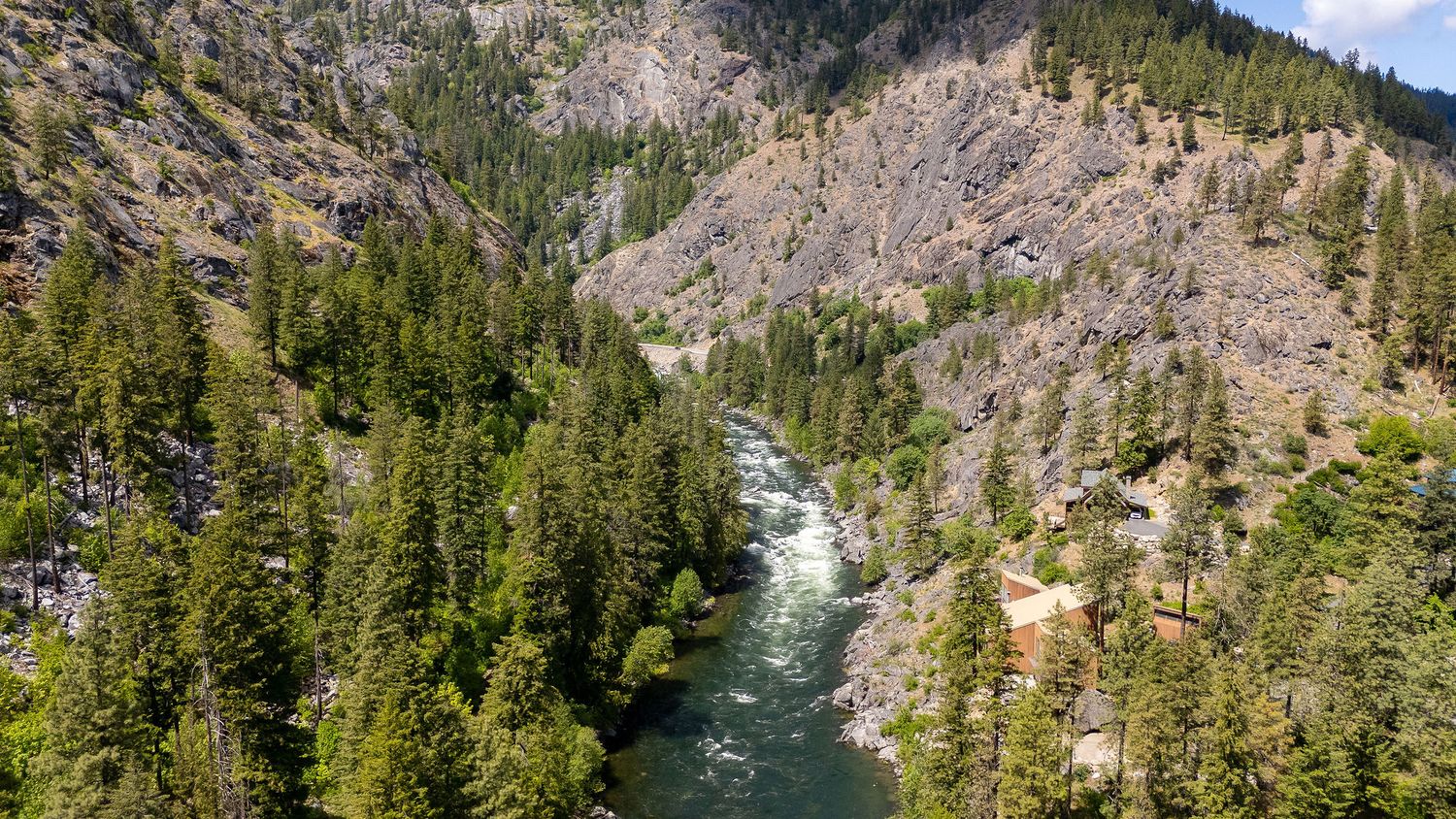 Rocky canyon with rushing river cutting through dense pine forest in mountainous terrain.