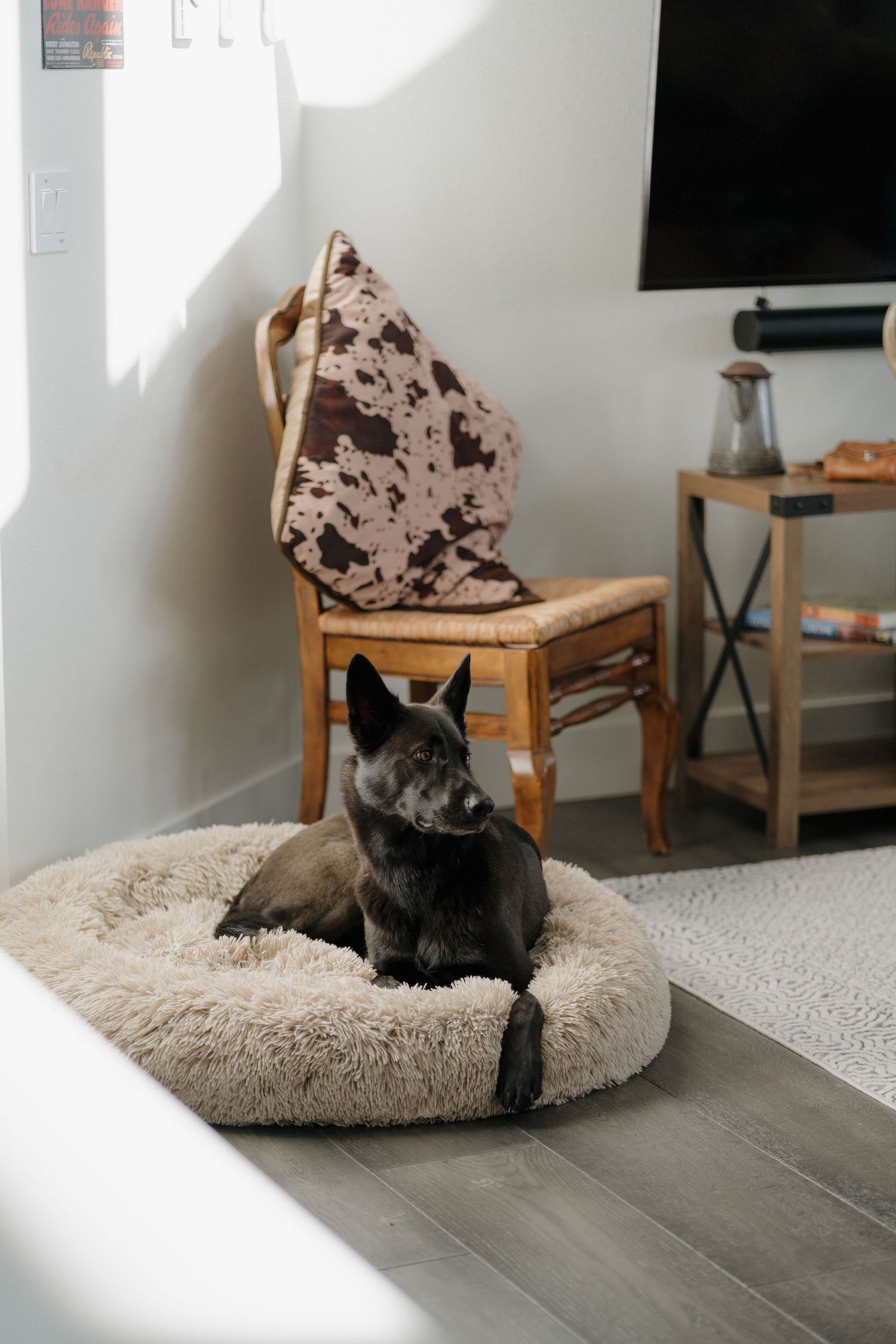 Black cat lounges comfortably on a round beige pet bed next to wooden furniture in a bright room.