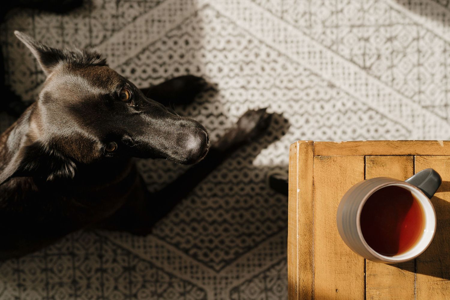 A black cat lying on a patterned rug next to a wooden tray with a cup of tea.