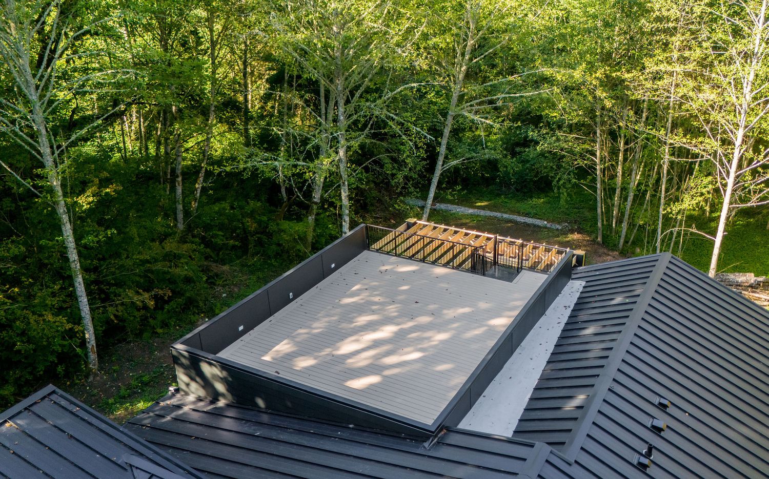 Modern black metal roof with skylights surrounded by tall trees in forest setting.