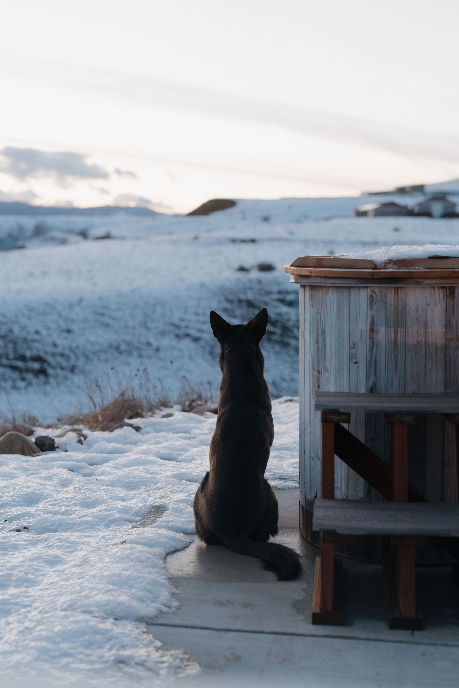 A black cat sits in the snow beside a wooden structure, looking out at a snowy winter landscape.