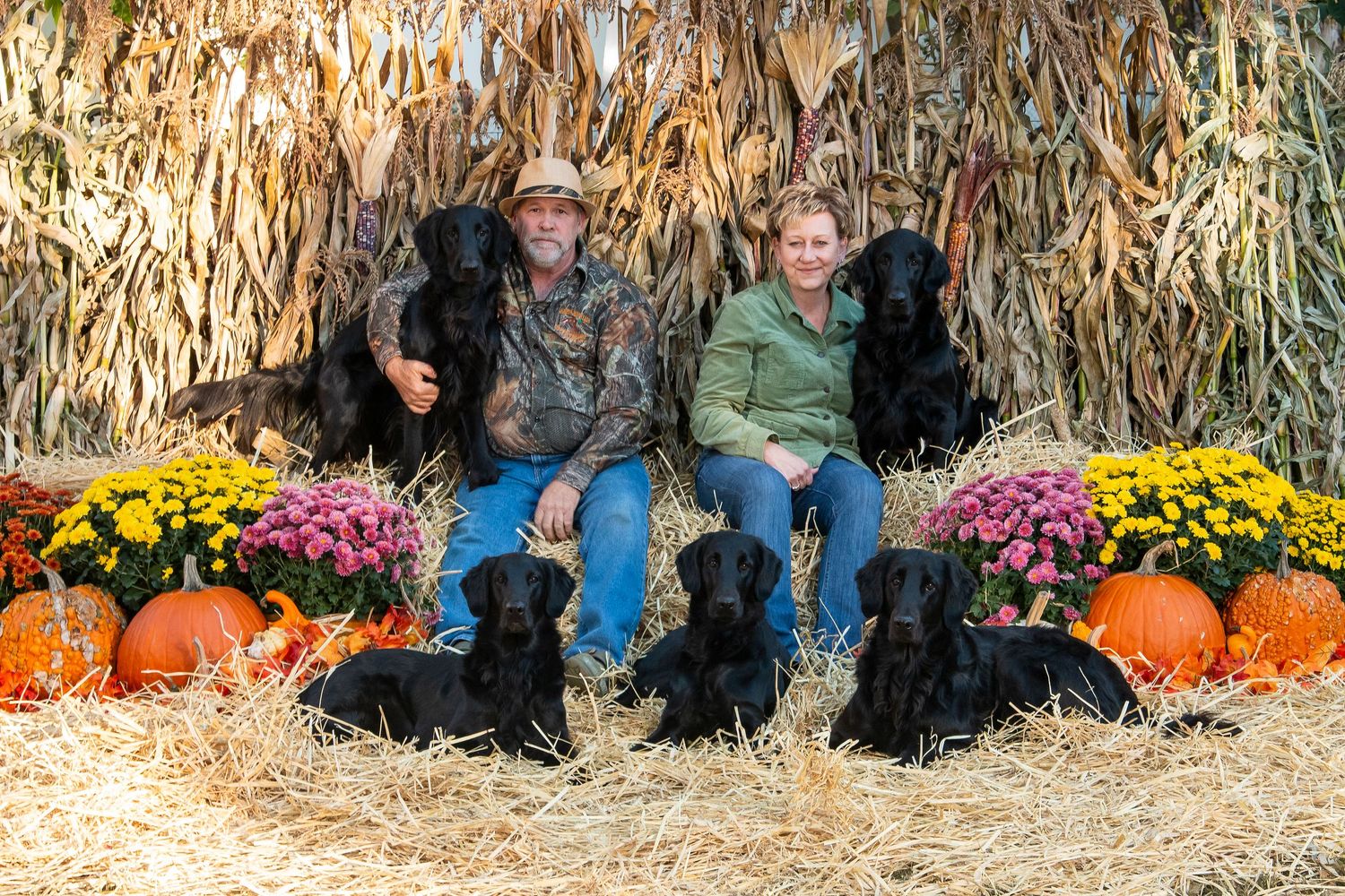 Two people sit with four black Labrador dogs surrounded by pumpkins and mums at a fall harvest display.
