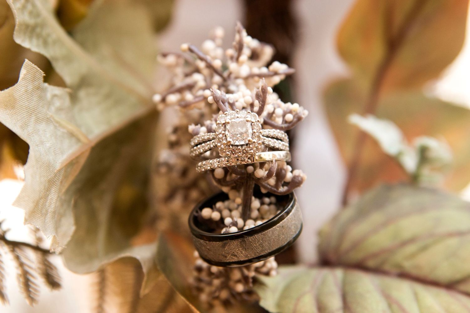 Diamond engagement ring and wedding bands displayed on decorative branches with autumn leaves.
