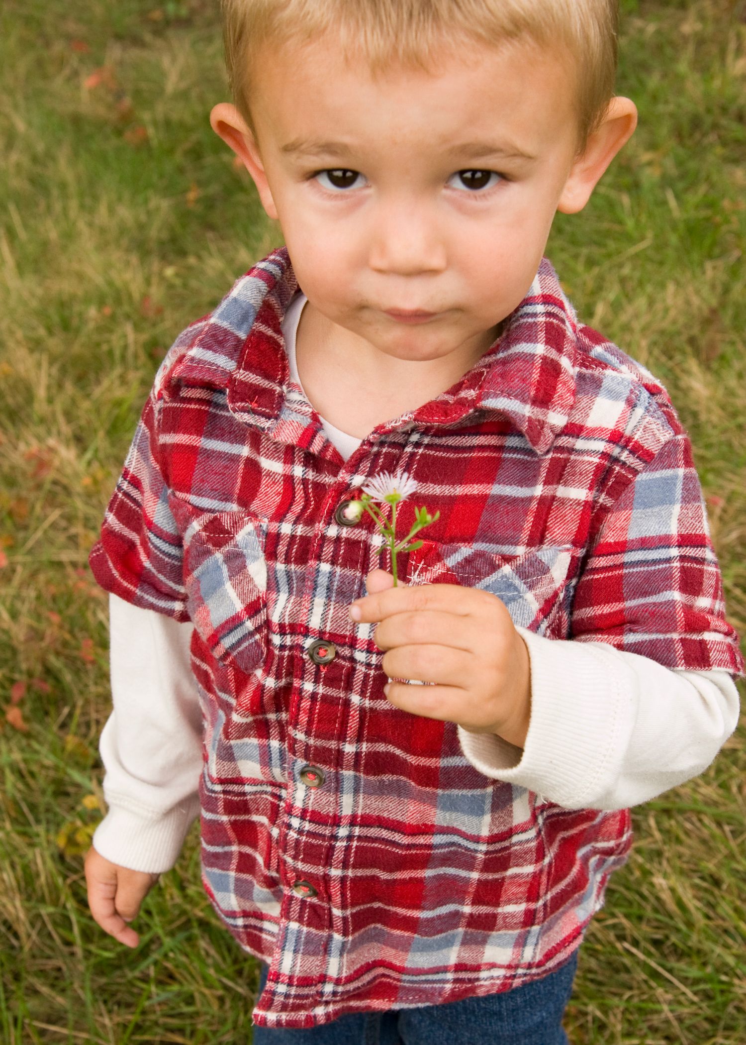 Adorable toddler in red plaid flannel shirt holds a small green plant while standing in grass.