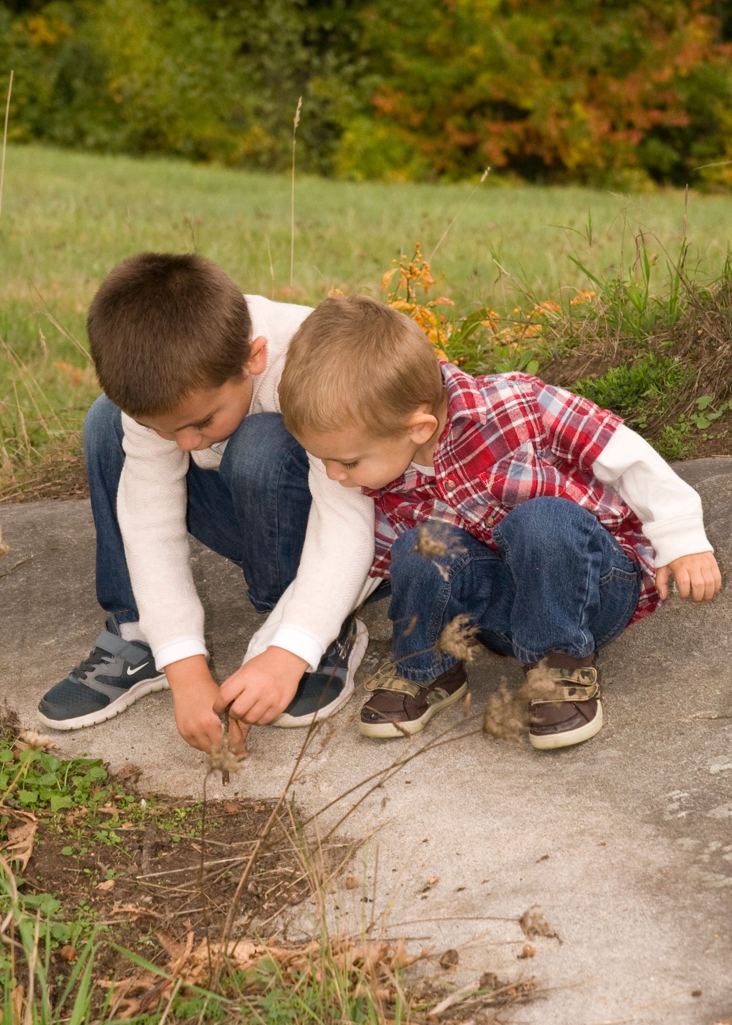 Two young boys crouch on pavement examining small plants and sticks in an outdoor park setting.