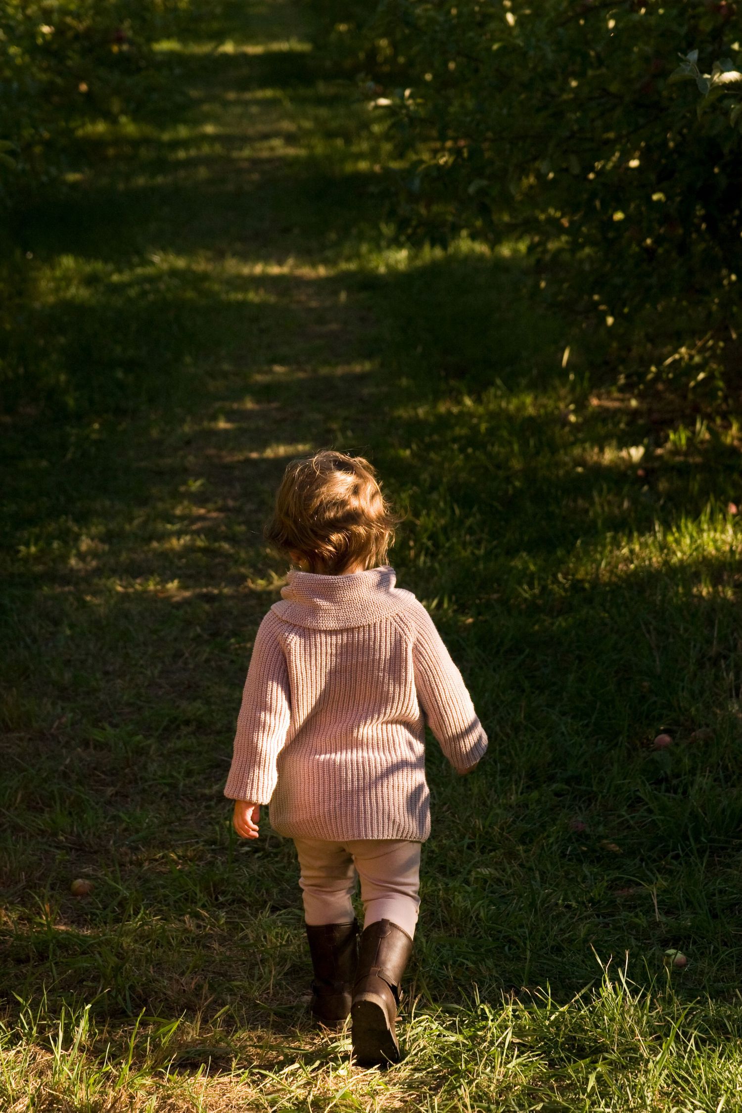 Rear view of toddler in pink coat and boots walking along sunlit garden pathway.