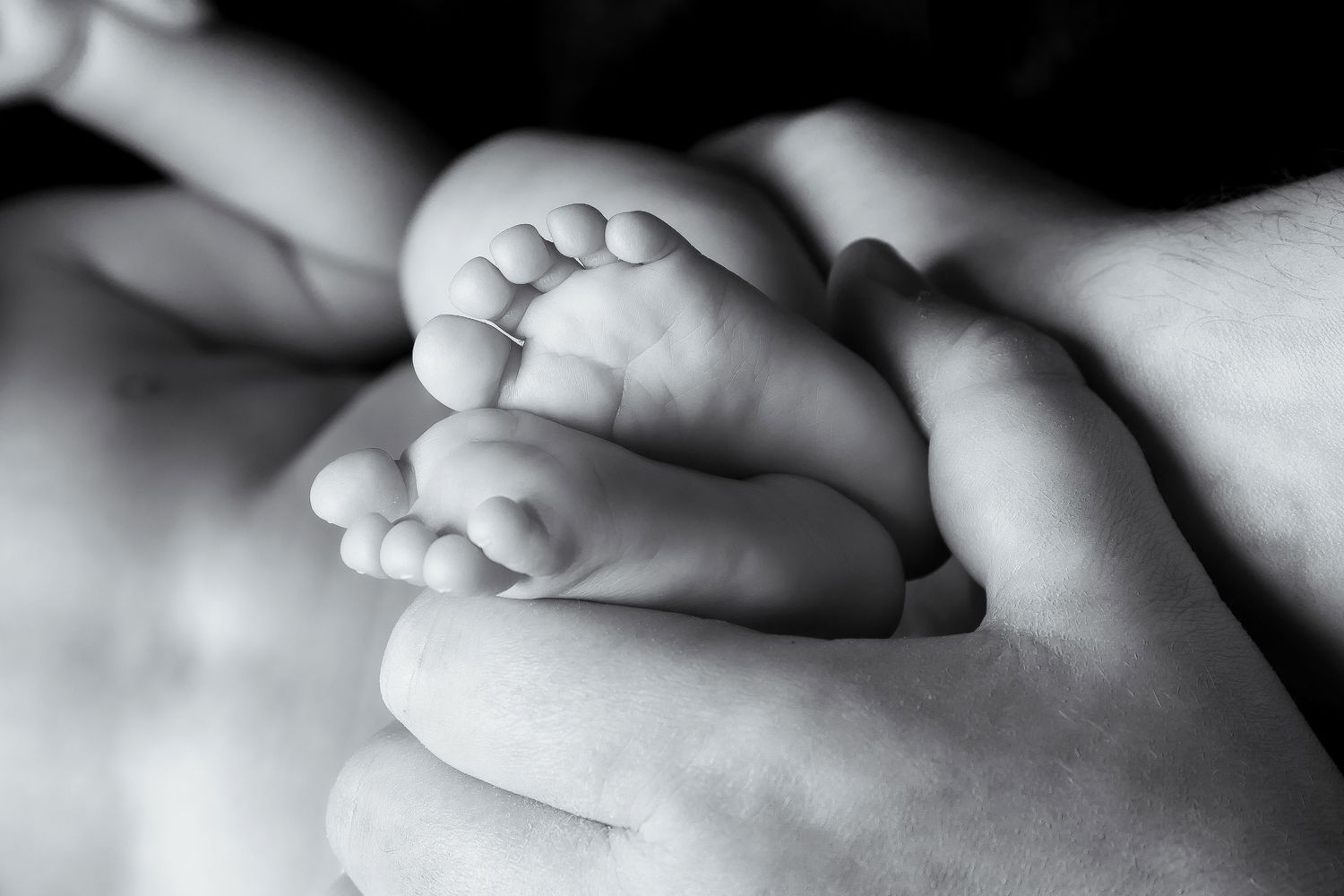 Black and white close-up photograph of tiny newborn baby feet being gently held in adult hands.