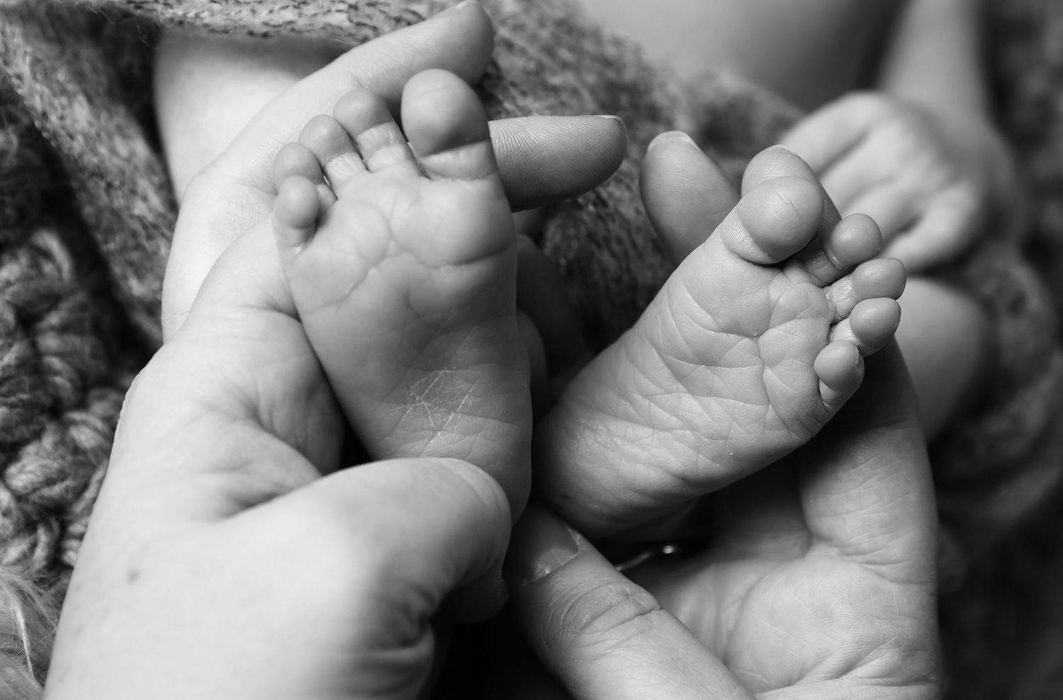 A close-up black and white montage of tiny baby hands in different soft and intimate poses.