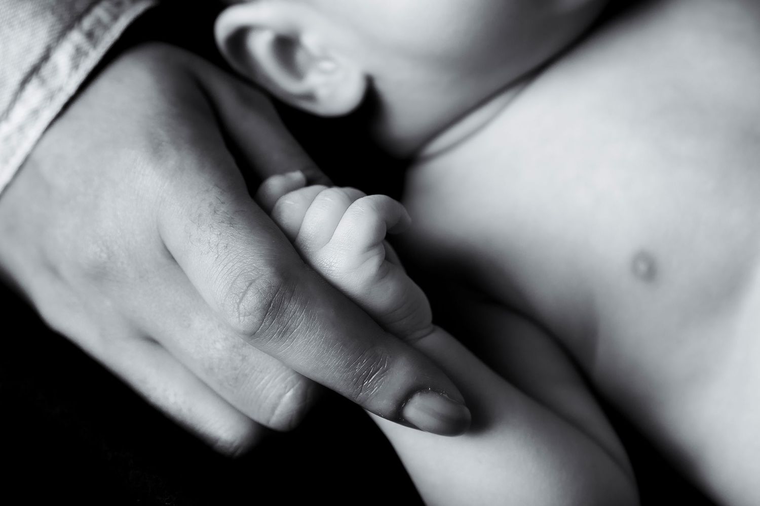 Black and white close-up photo of a tiny infant hand grasping an adult's finger in tender embrace.